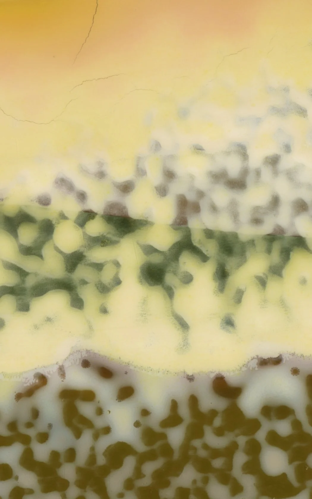 MDP Artworks - Detail Focus 11.jpg