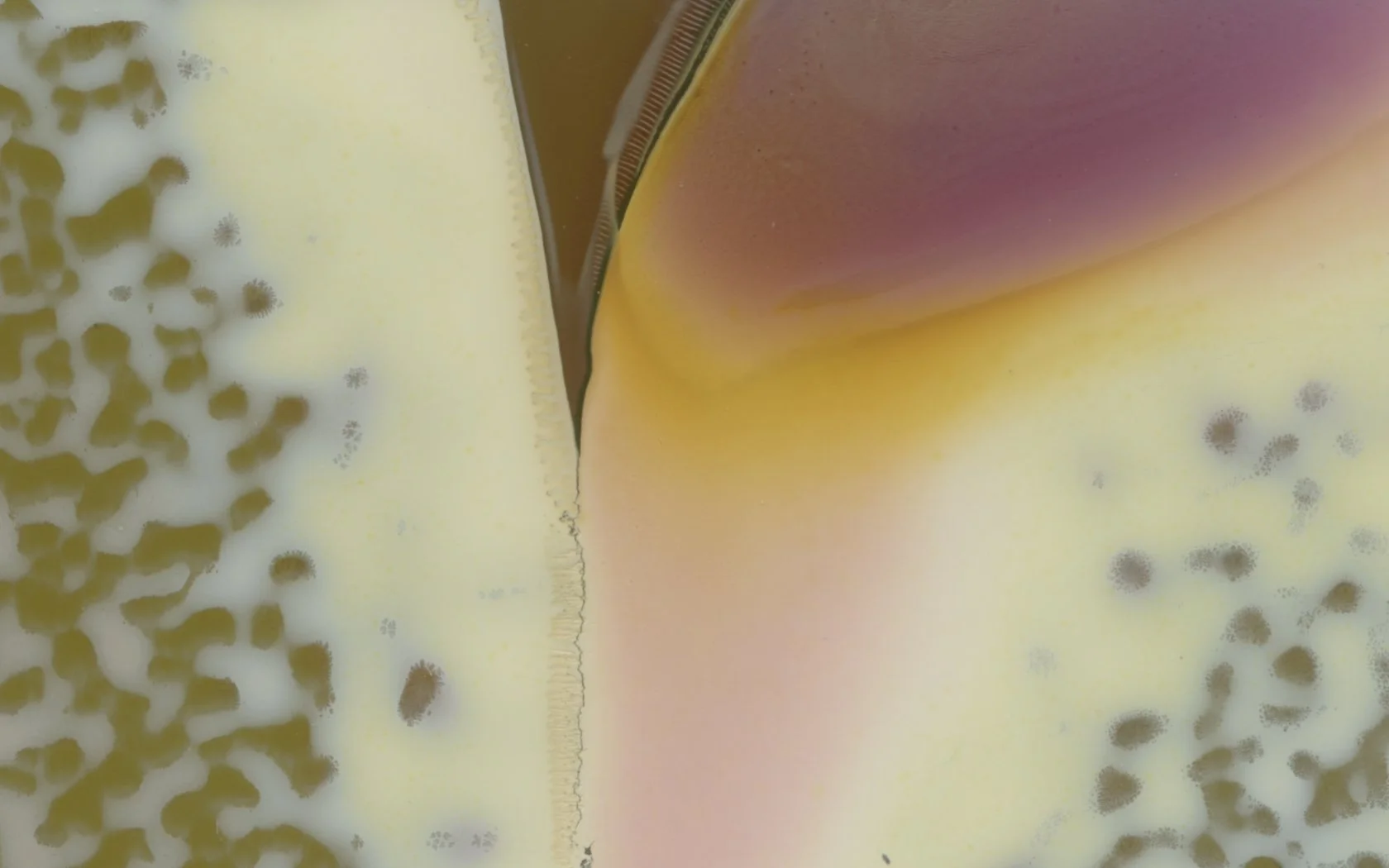 MDP Artworks - Detail Focus 12.jpg