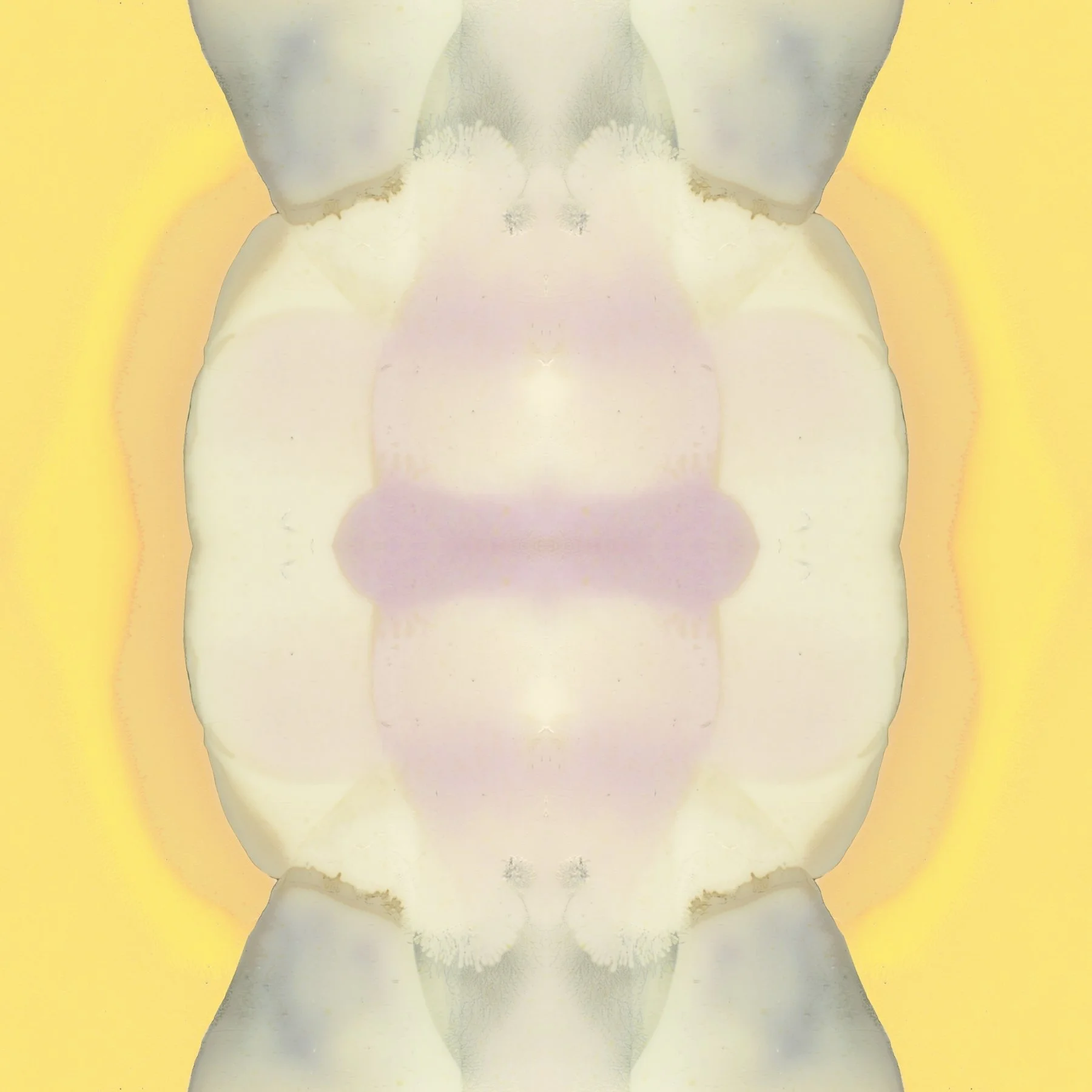 MDP Artworks - String Theory - Node.jpg