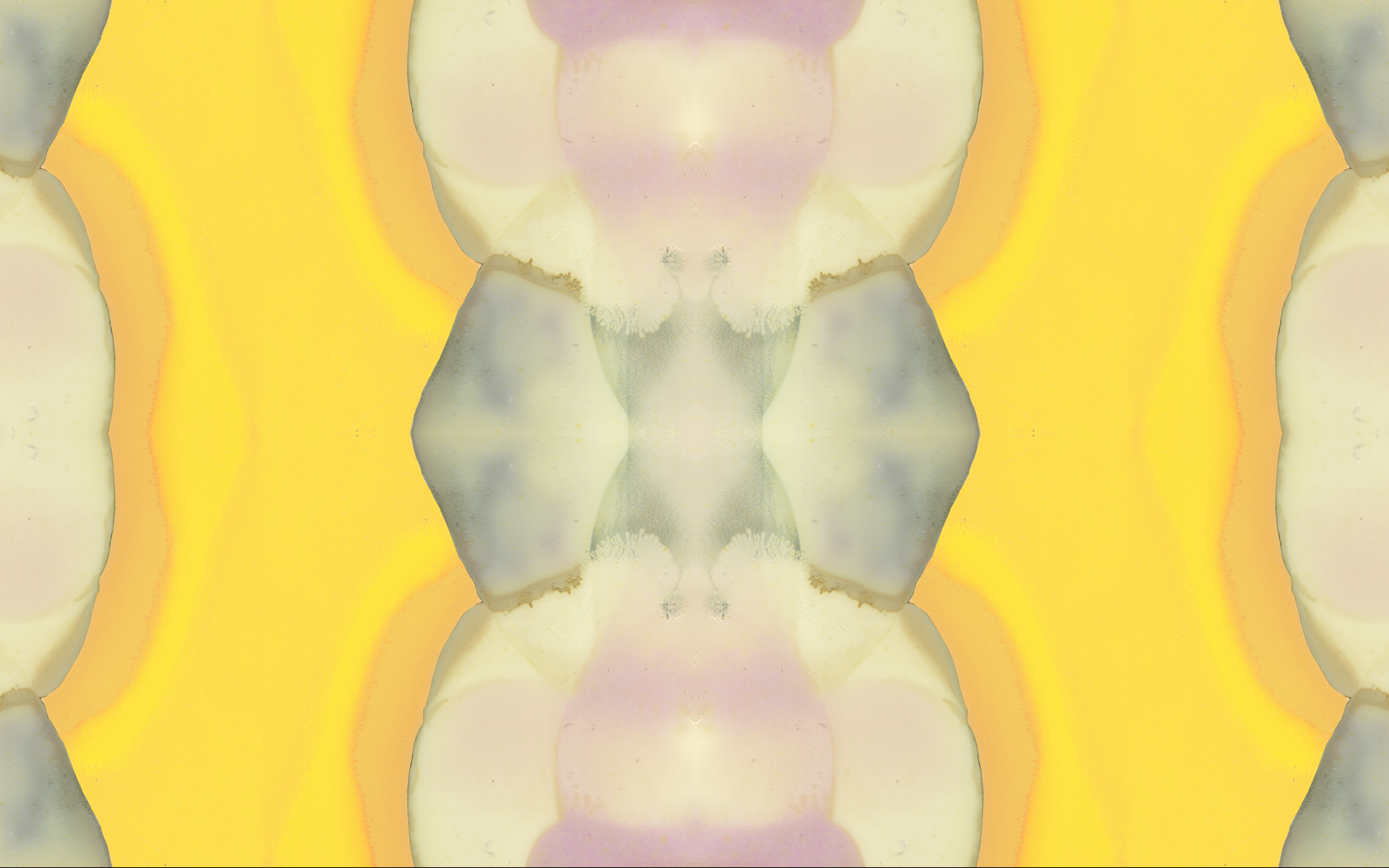 MDP Artworks - String Theory - Detail Focus.png