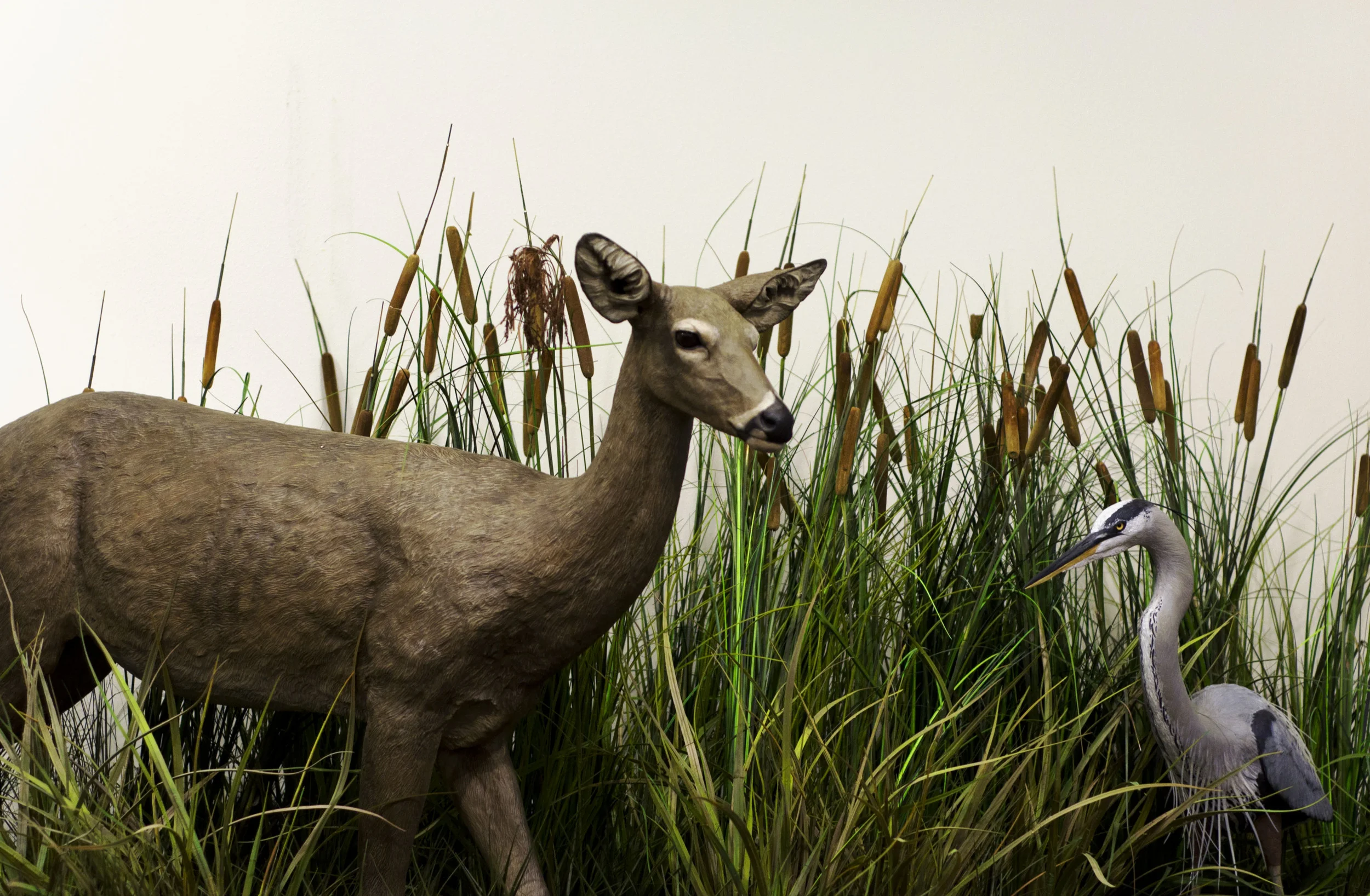 Marrero, Louisiana, 2012