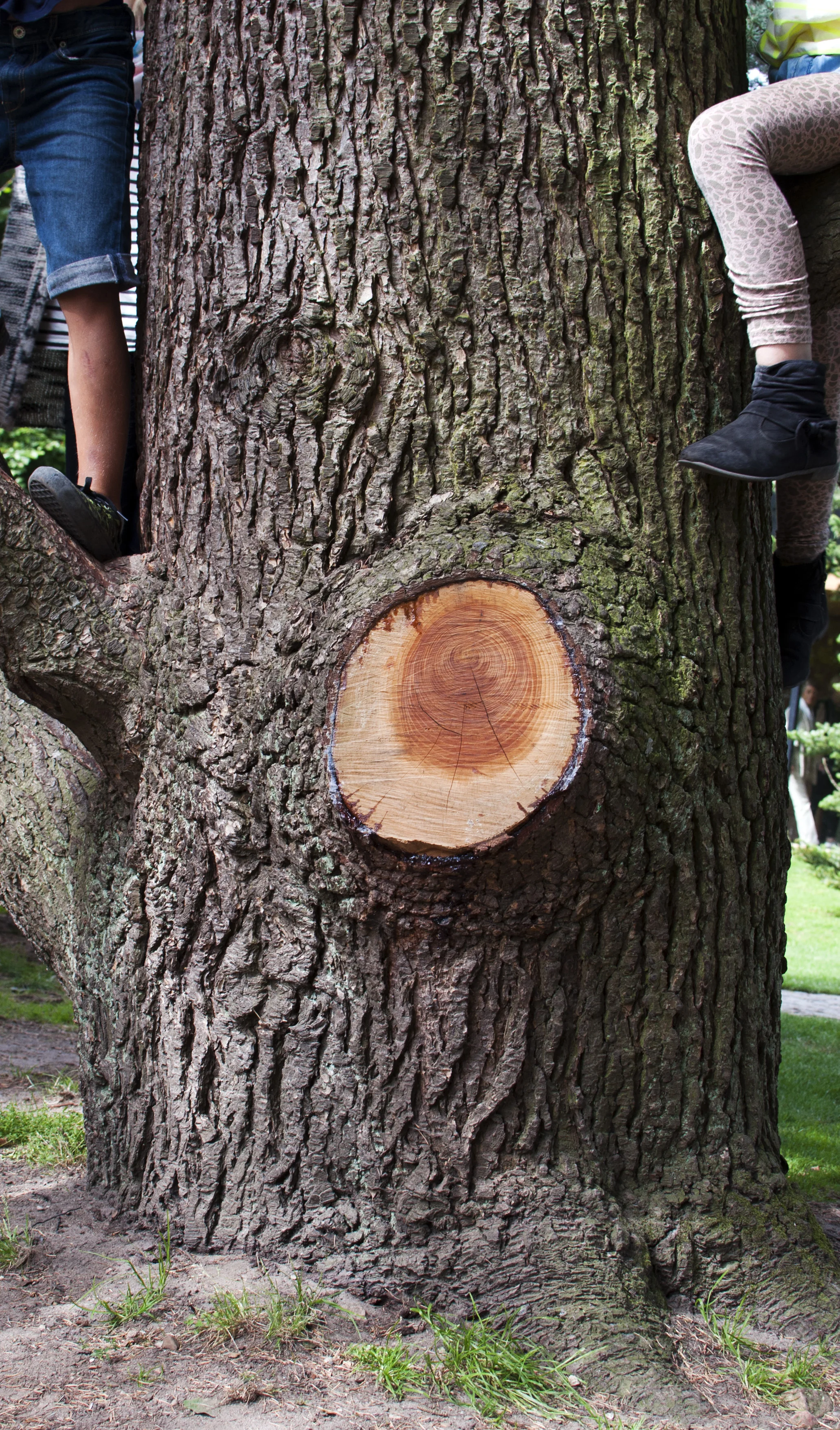 Ishøj, Denmark, 2015