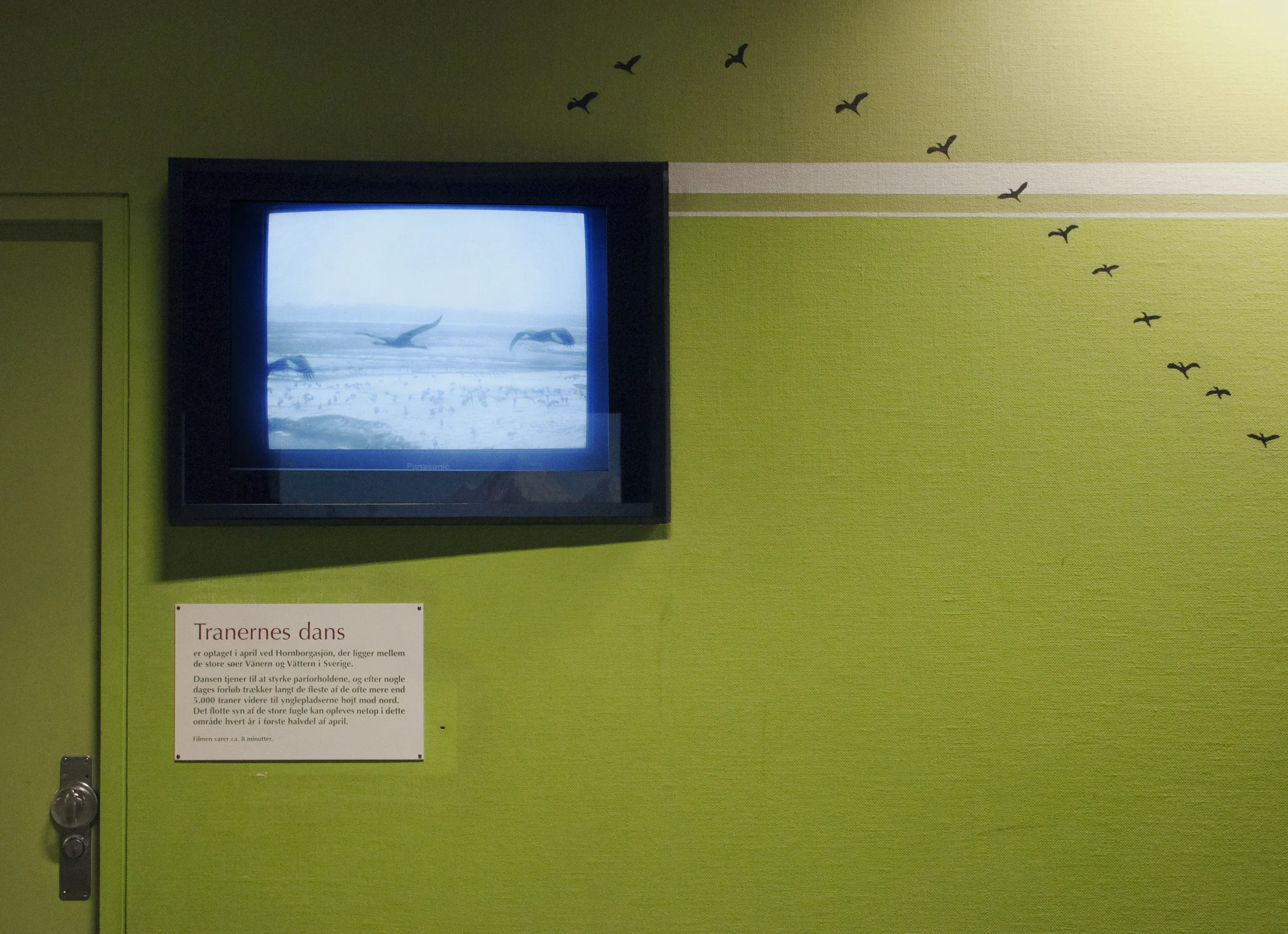 University of Copenhagen Zoological Museum, Copenhagen, Denmark, 2014