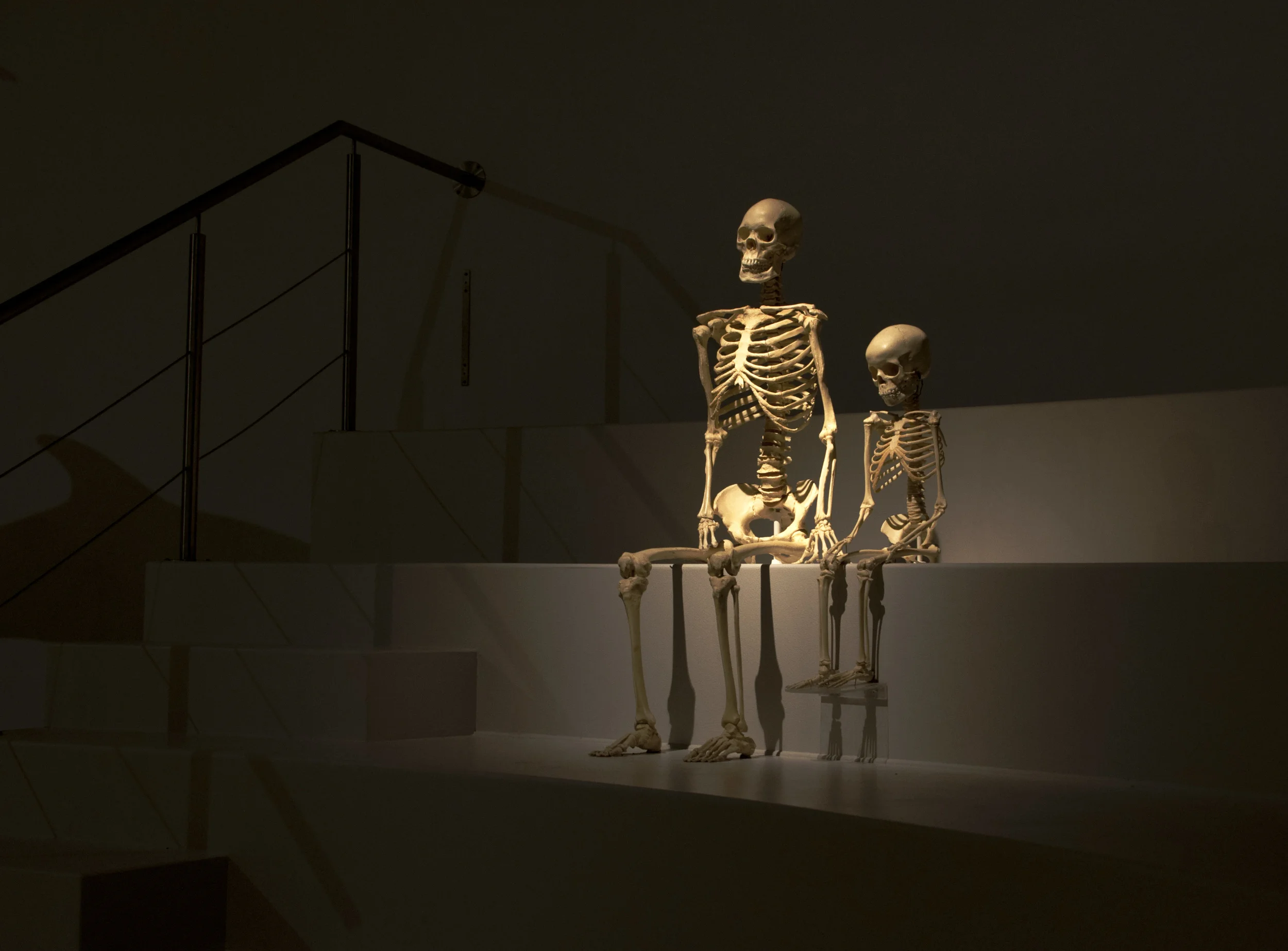 University of Copenhagen Zoological Museum, Copenhagen, Denmark, 2014