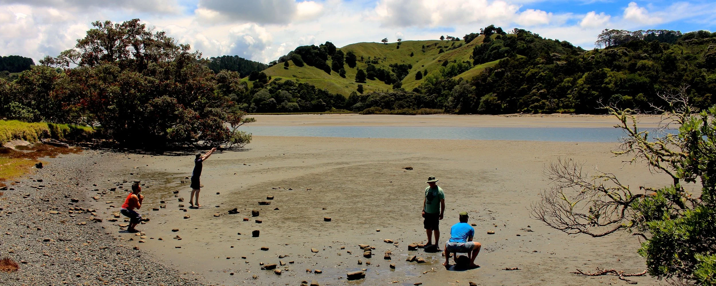 Primal movement- best.JPG