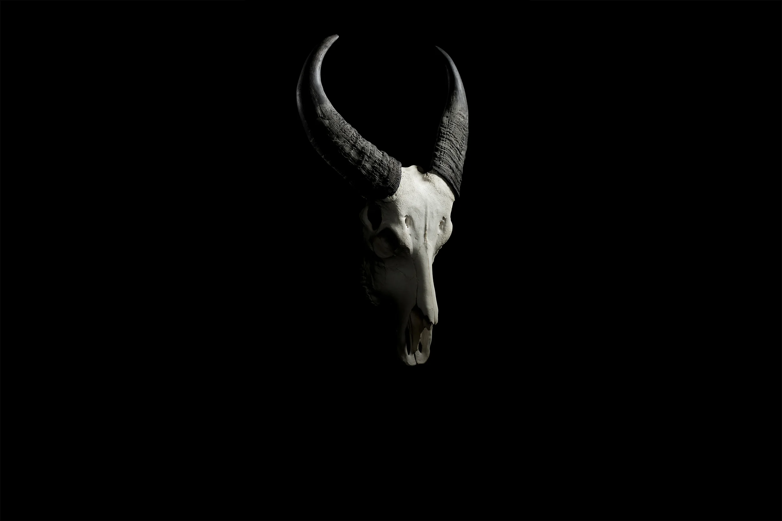 The Endangered Series - Clint Jenkins