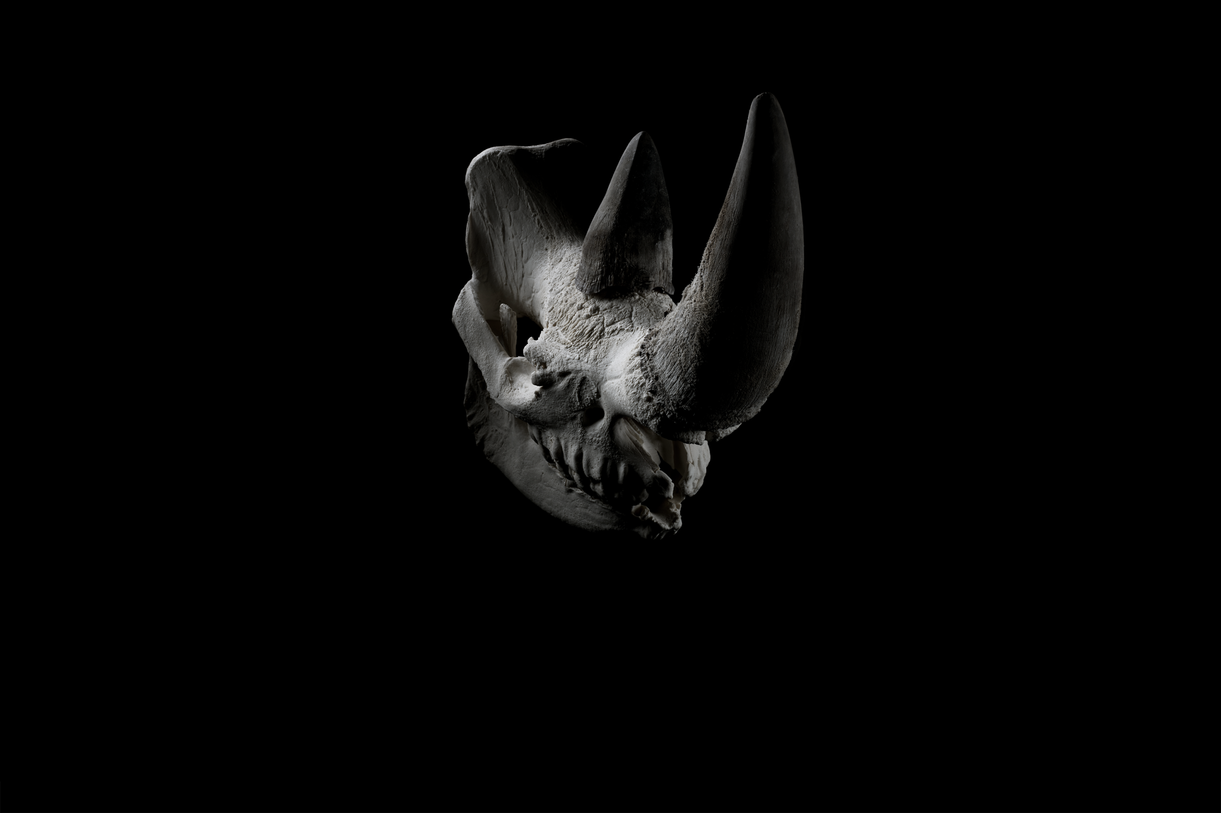 The Endangered Series - Clint Jenkins