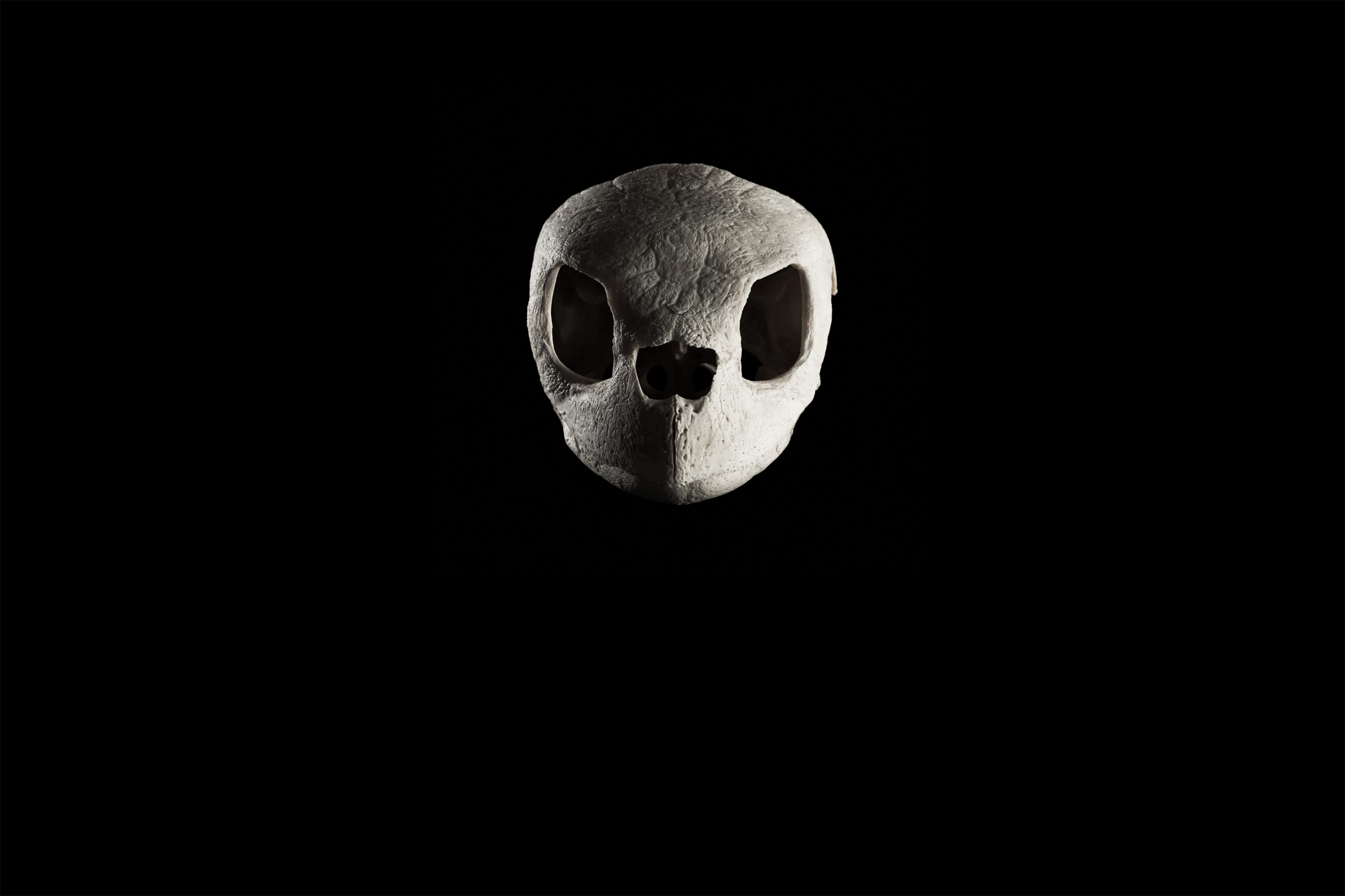 The Endangered Series - Clint Jenkins