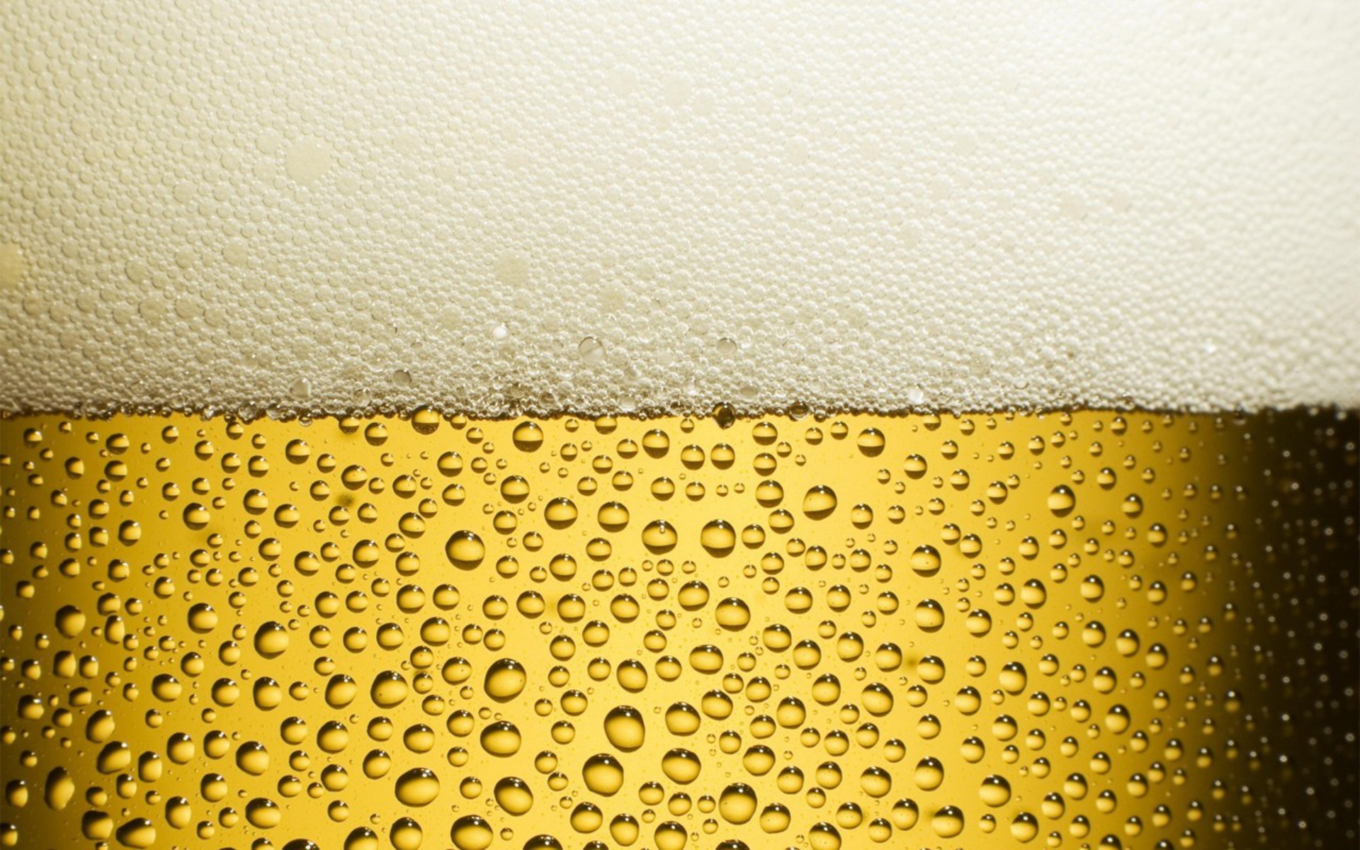 crisp cold beer