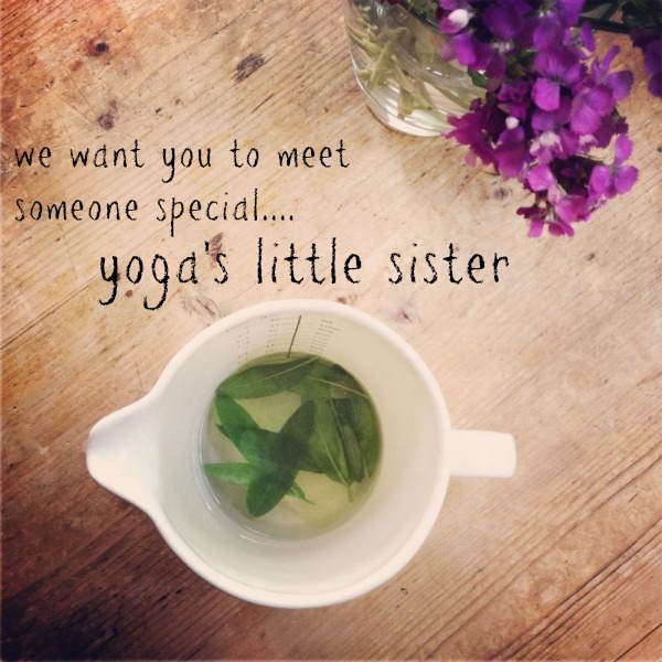 Meeting Ayurveda for the first time