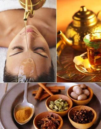 3-doshas_ayurveda-beginners.jpg