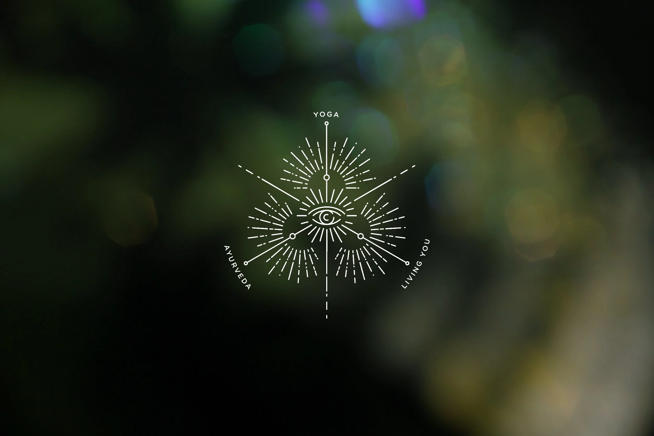 PTY-Website-Hero-Banner-2.jpg