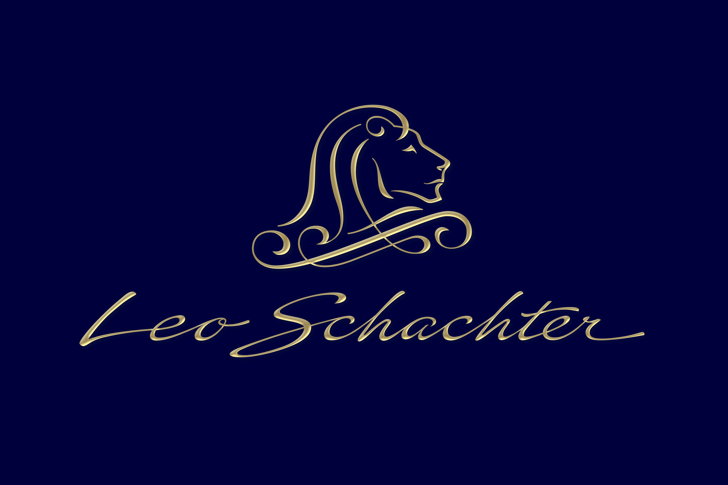 _Leo Schachter homepage.jpg