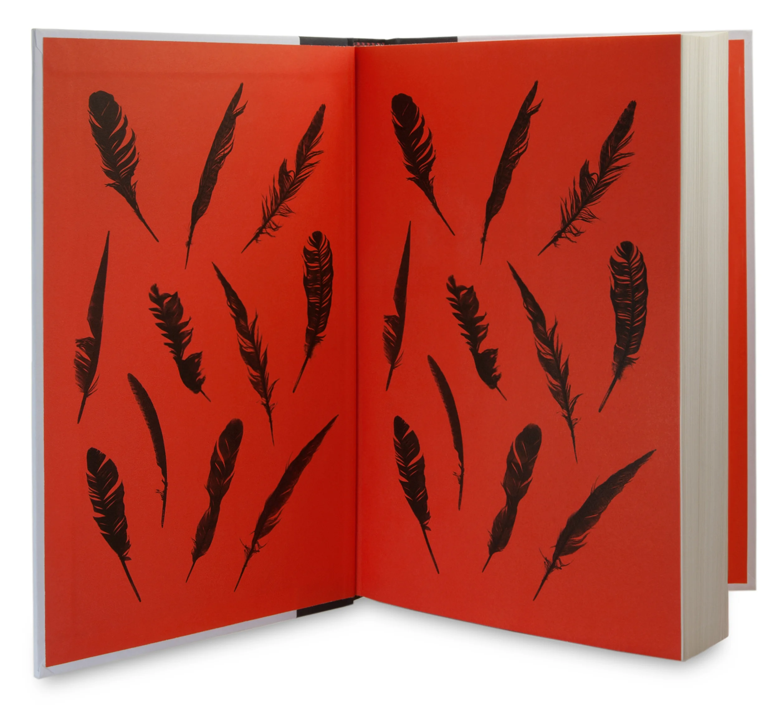 Grand Central Publishing | The Story of Beautiful Girl endpapers