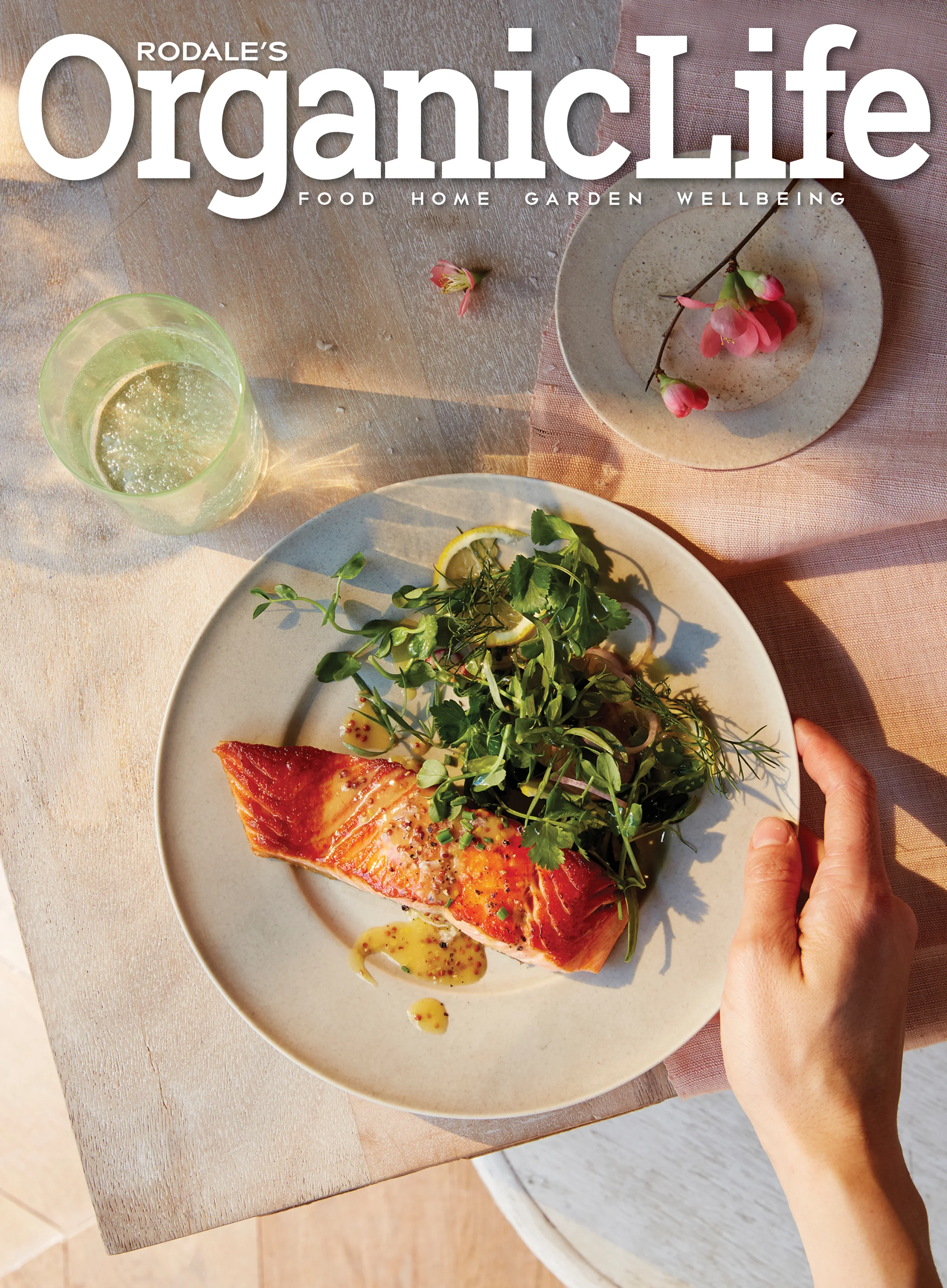 Rodale’s Organic Life Masthead (Final)