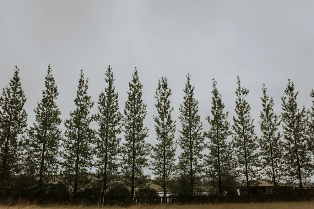 Iceland Wedding Photographer-6DSC_4948.jpg
