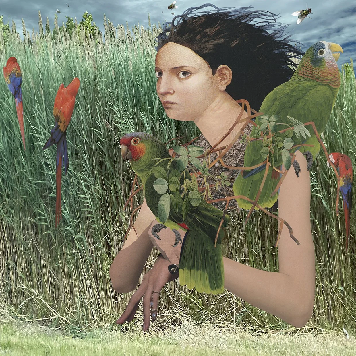 PARROTS & FLIES, 2023