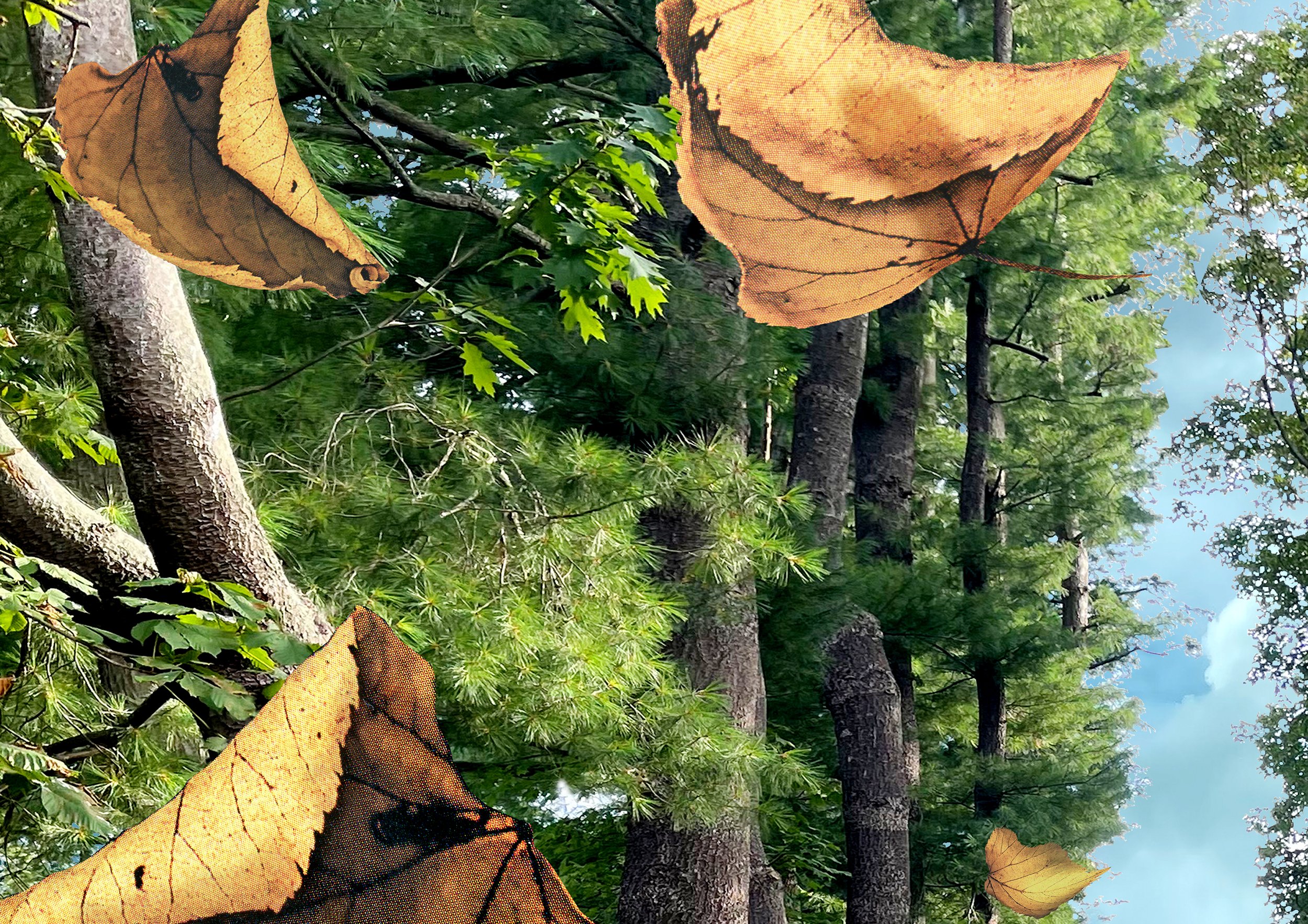 NEW BEGINNINGS, 2026