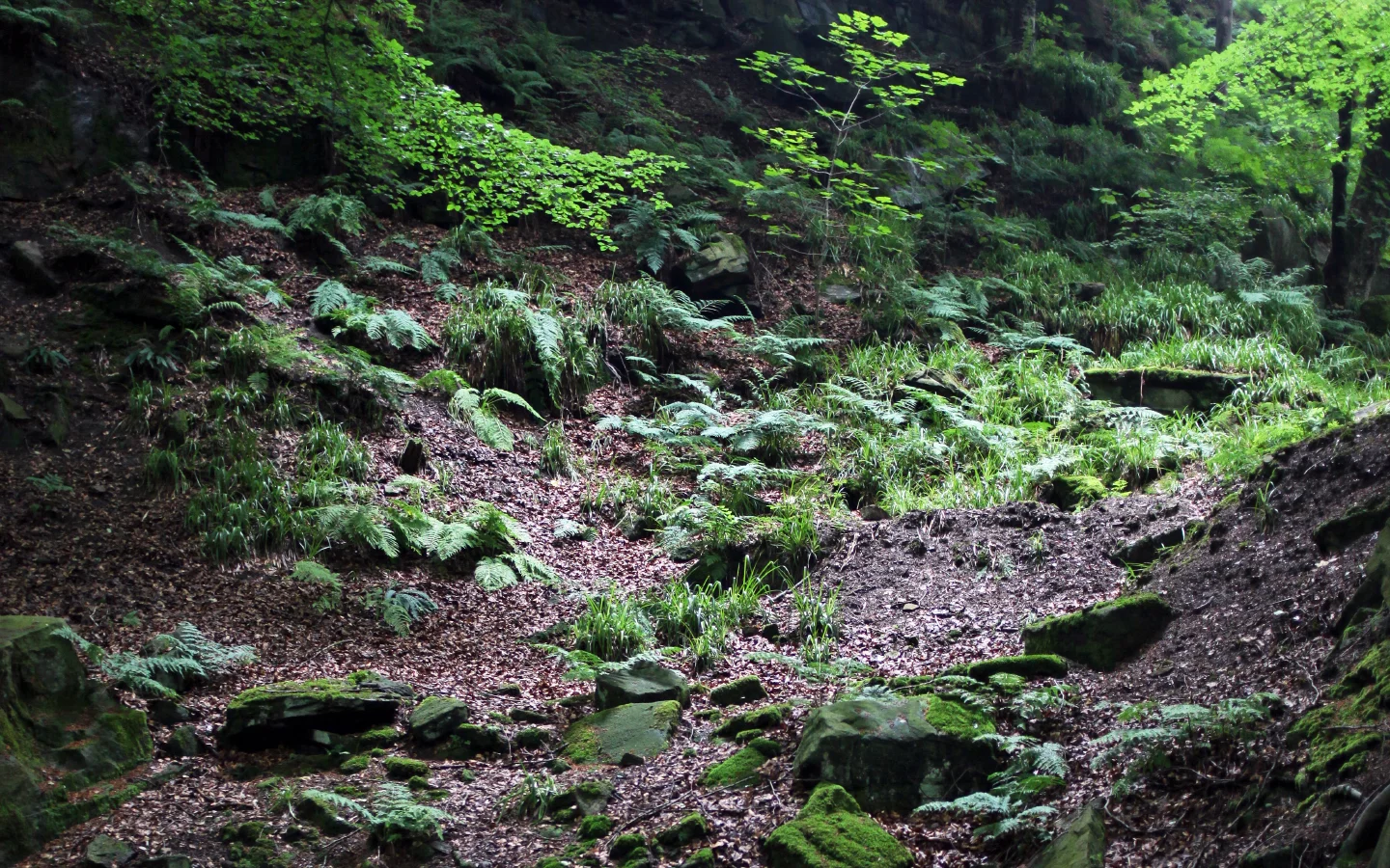 Hebden Beck