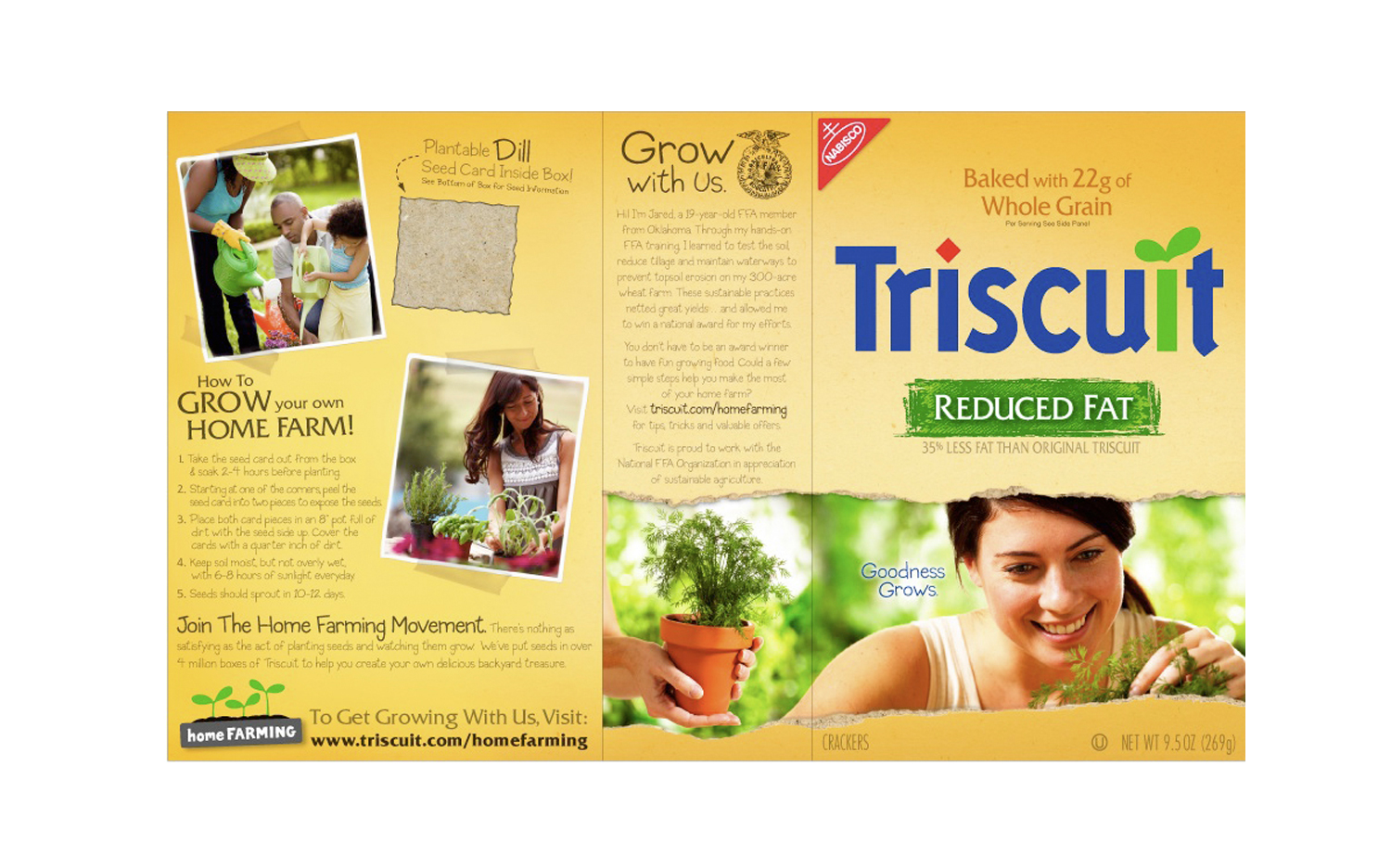 Triscuit_Website-Template.jpg