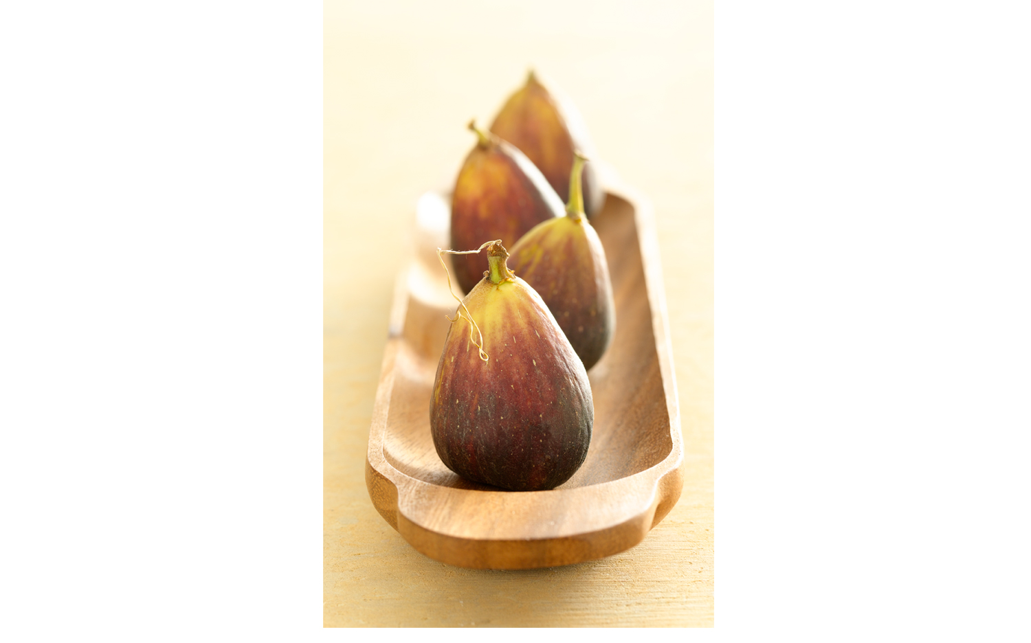 Figs_Website-Template.jpg