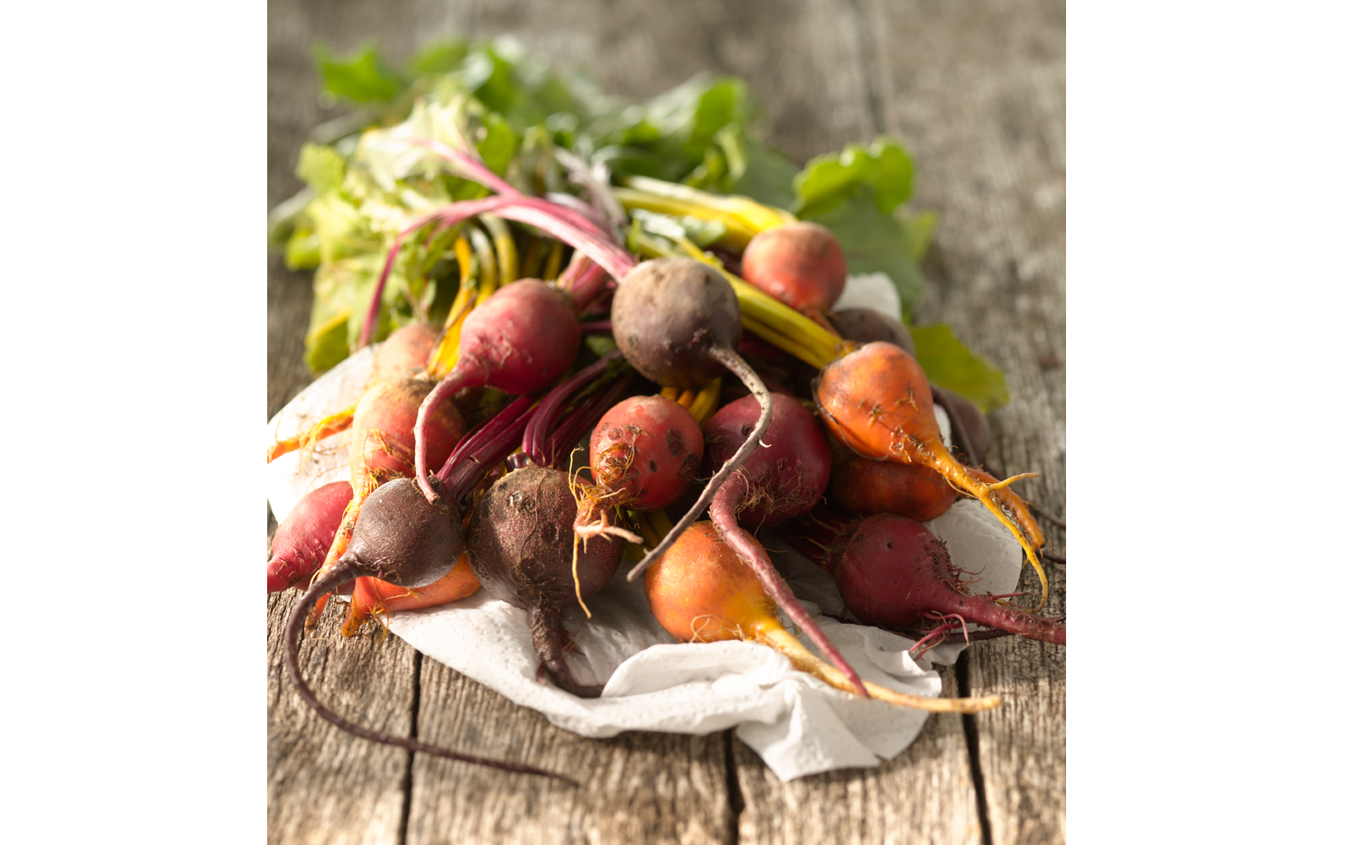 Beets_Website-Template.jpg