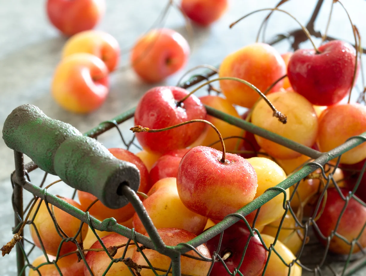 cherrylicous_00132.jpg