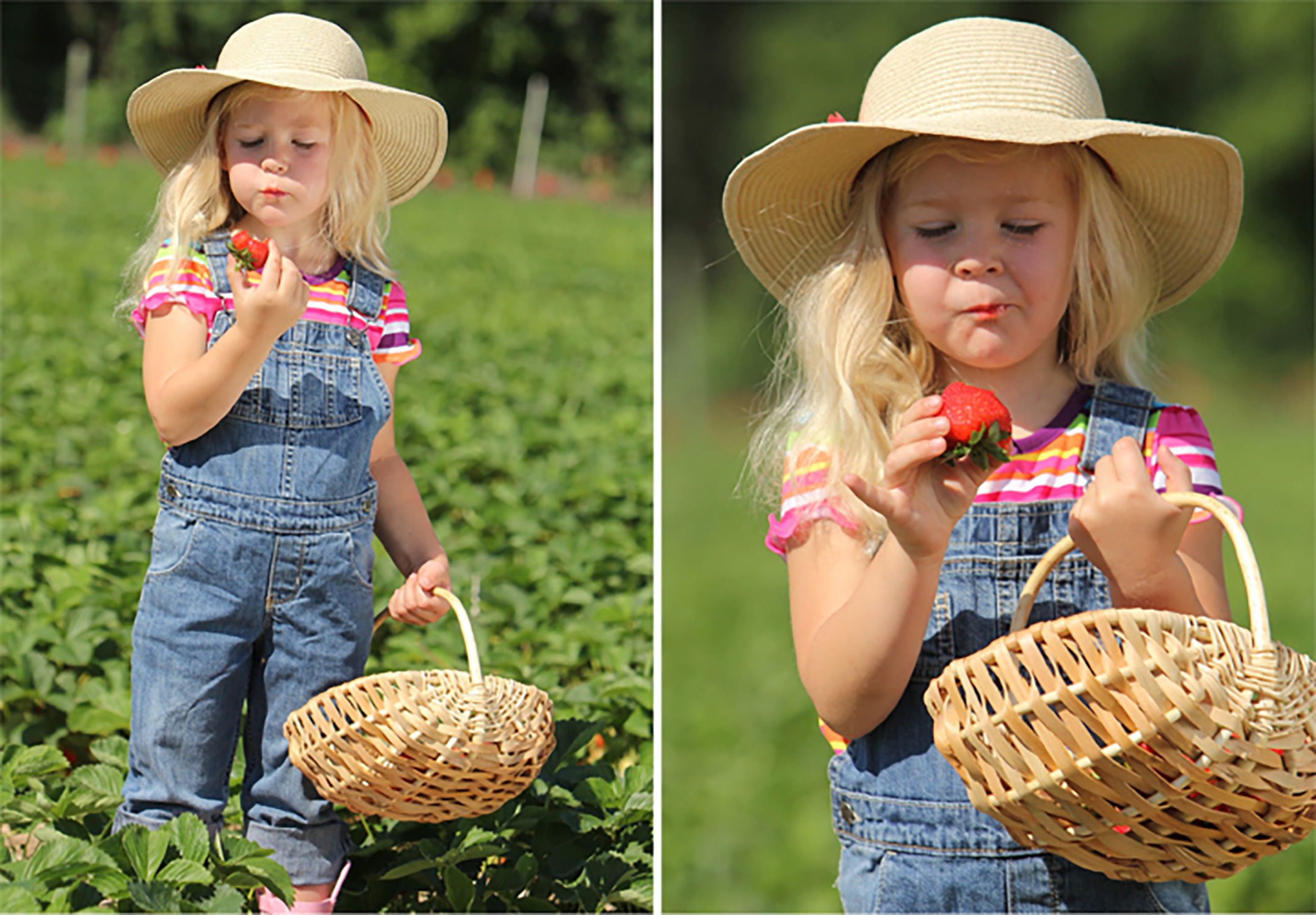 Straw-hat-girl.jpg