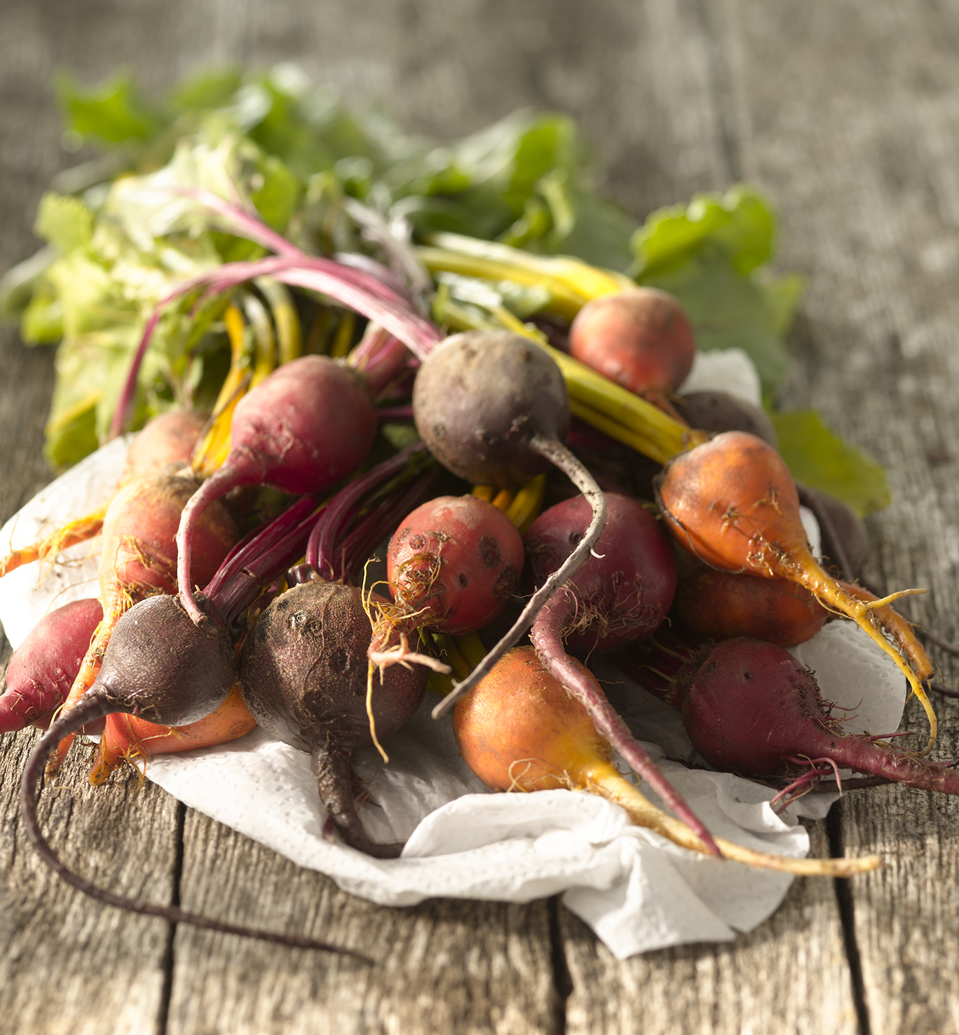 beets bundle.jpg