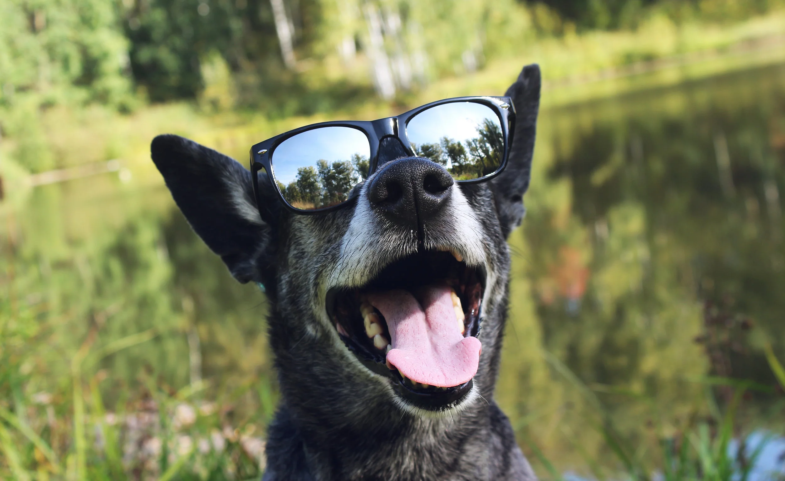 AdobeStock_120600433.jpeg