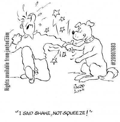 handshake.jpg