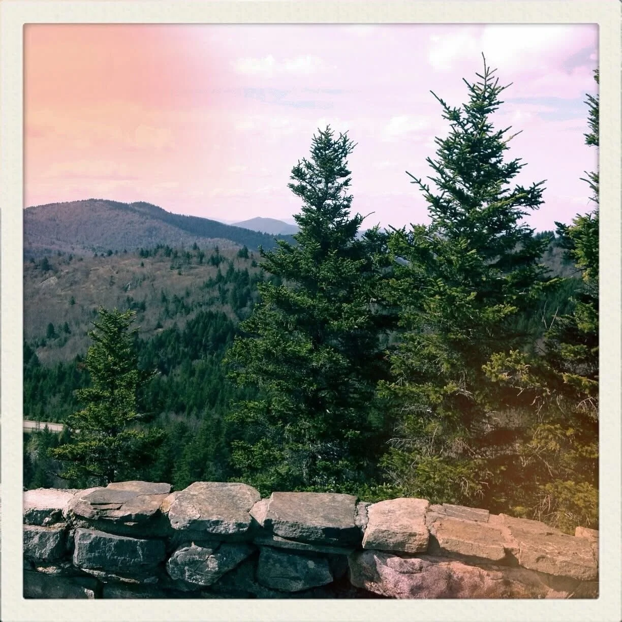 Spring hikes are the best hikes 🌲⛰️

Book now and save due to lasts-minute cancellations in April. Rates from $52 per night!

#airbnb #getaway #mountains #hike #hiking