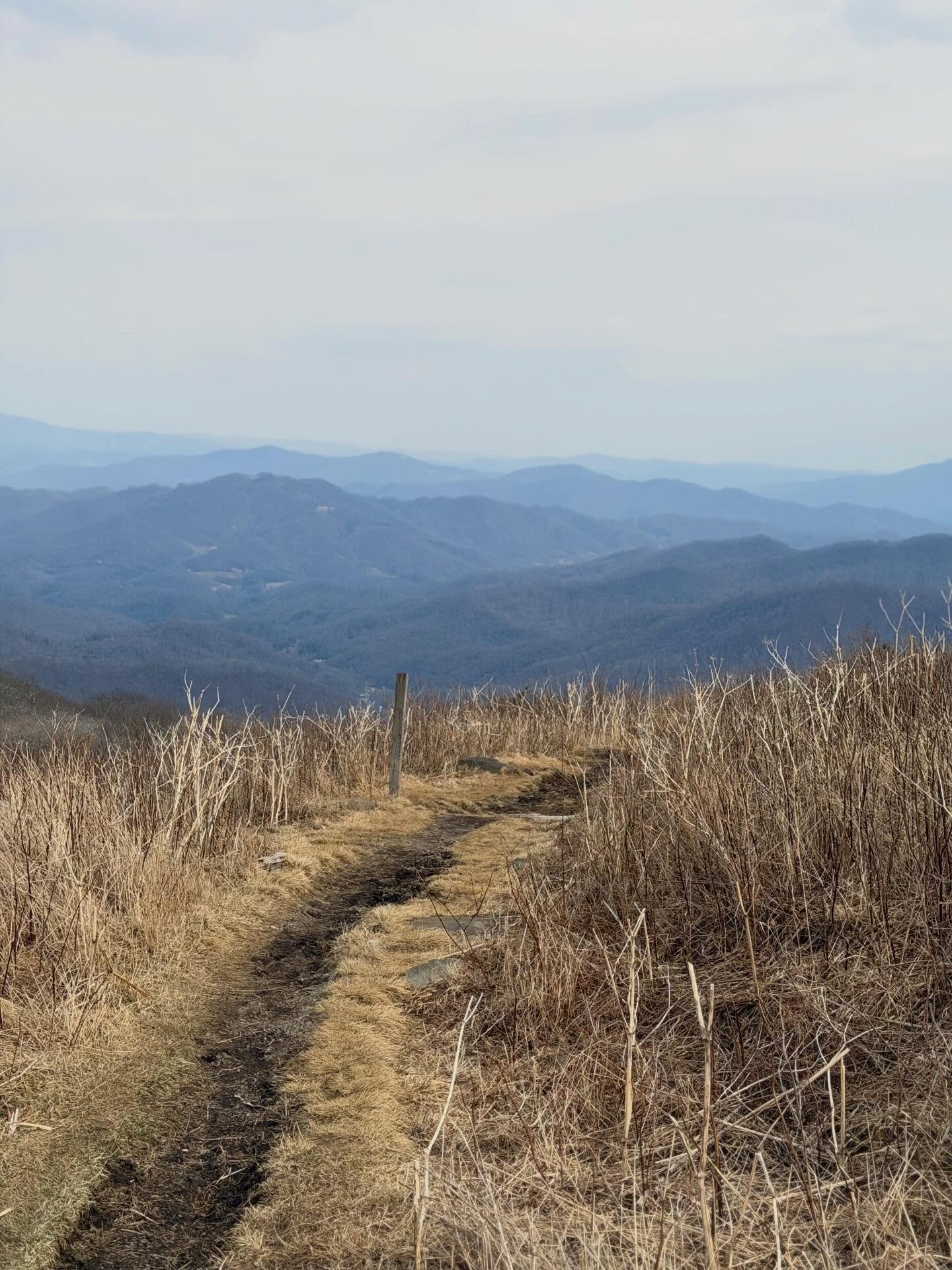 ⛰️🌷March looked like this 🌱

#march #spring #springtime #springbreak #marchmadness