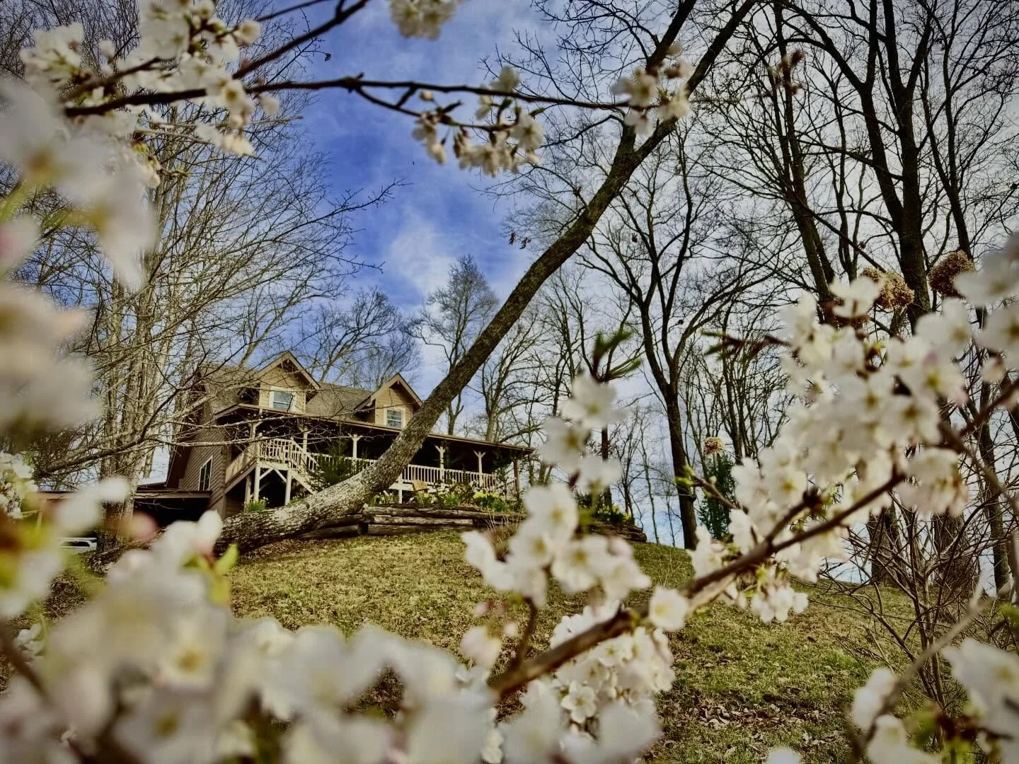 The first weeekend of spring 🌷

#cabin #logcabin #cabinlife #airbnb #spring