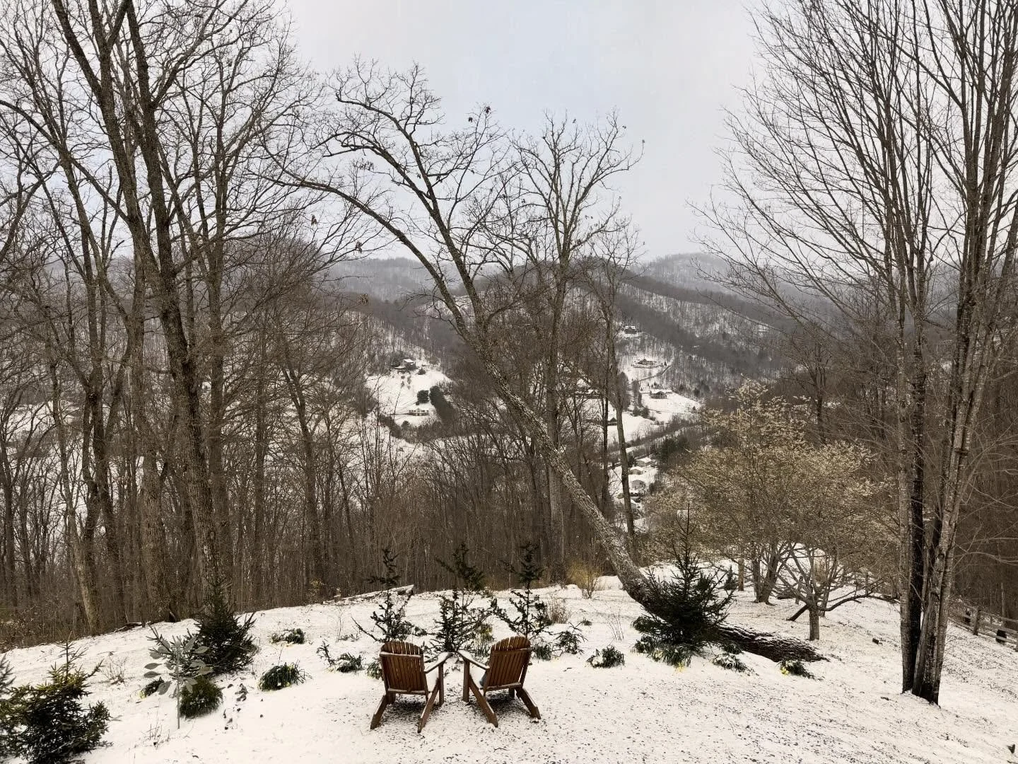 🍀 Don&rsquo;t pinch us &mdash; seems our landscape wasn&rsquo;t quite ready for the spring greening ⛰️🌱

#stpatricksday #saintpatricks #saintpatricksday #stpatricks #snowy
