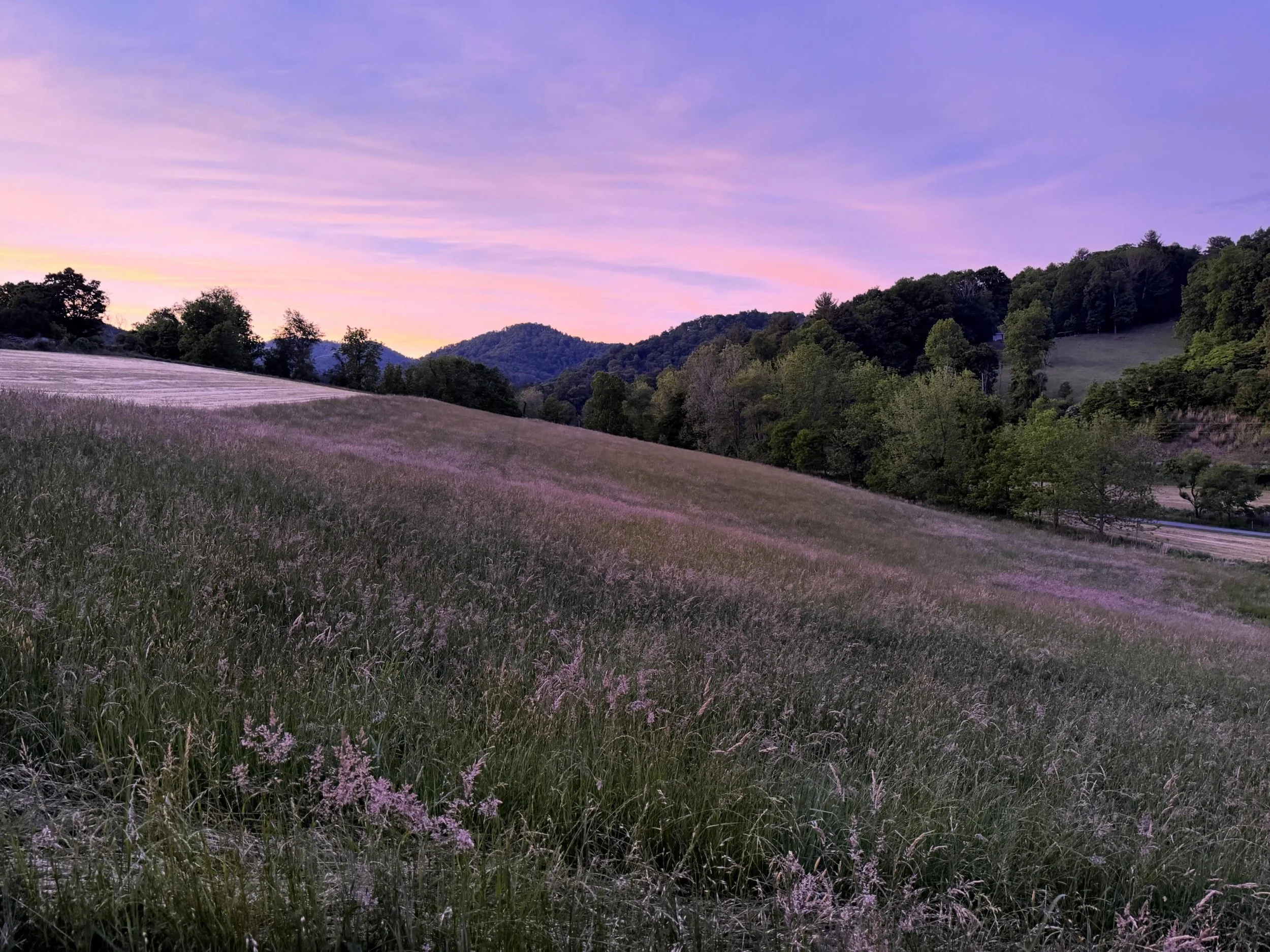 When the sunset colors linger linger over the cabin 

#sunset #sunsets #goldenhour #wnc #828isgreat