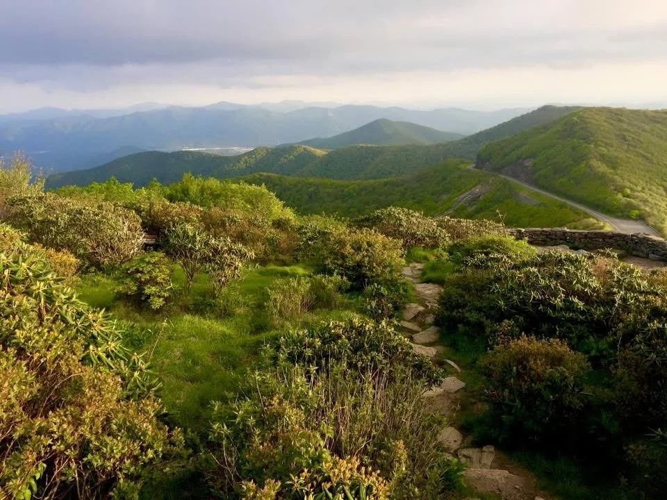 What&rsquo;s your favorite season? 

Anytime in the Blue Ridge ⛰️

#nc #wnc #blueridge #mountainviews #mountains