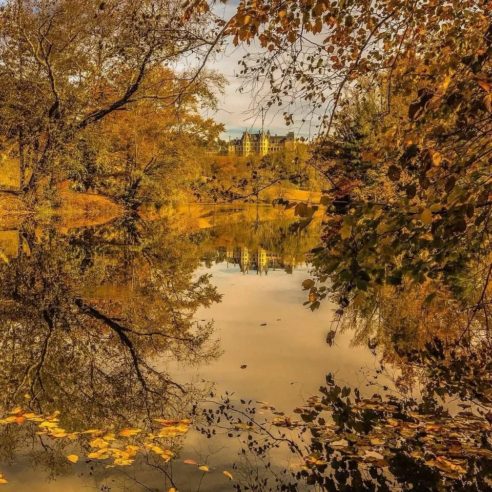 Fall dates, especially during peak weeks, are booking fast. 

Don&rsquo;t miss the magic of Autumn in the Blue Ridge. 🍂⛰️

#biltmore #asheville #mountains #autumn #fall