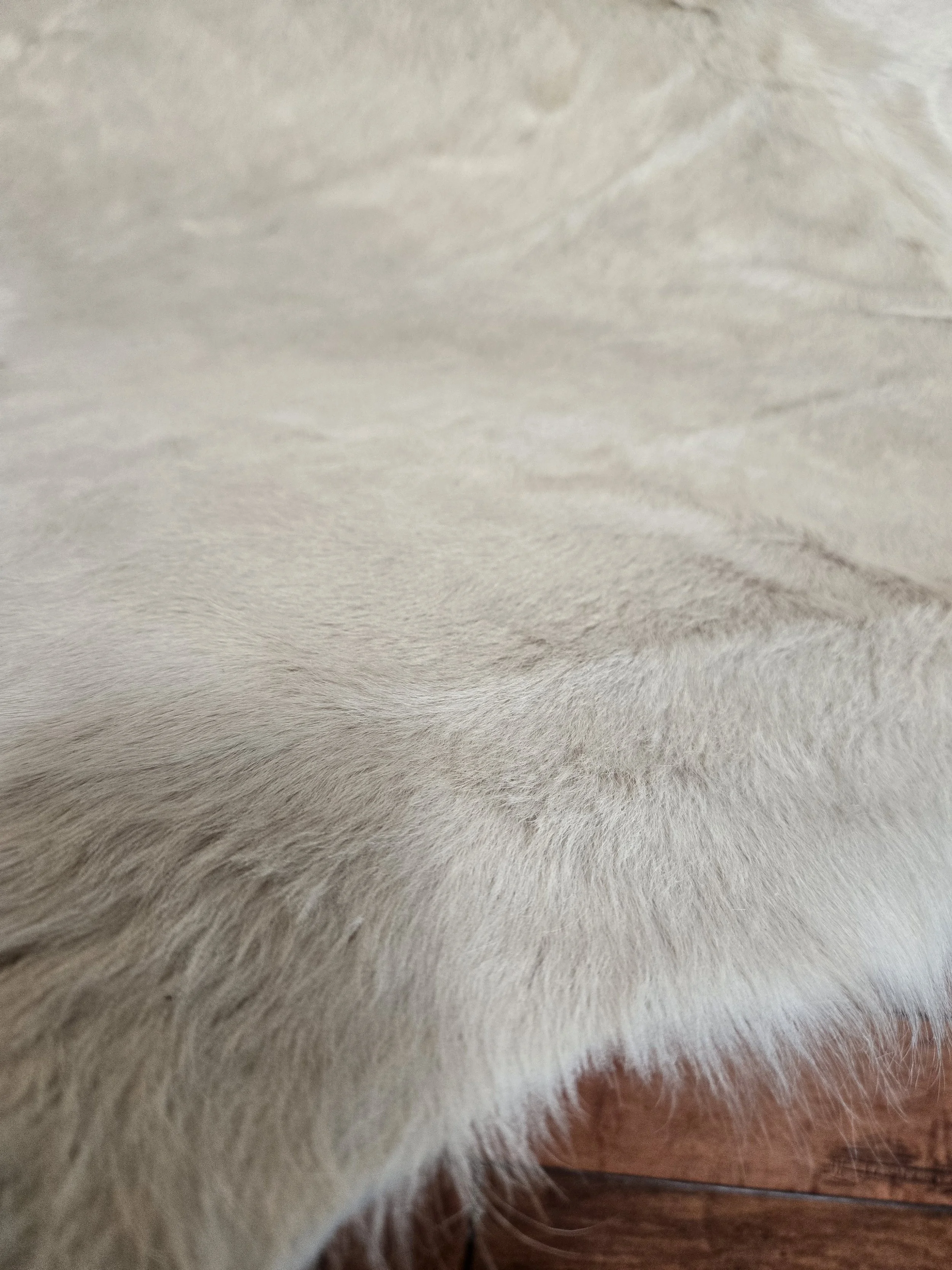 gambrell_renard_white_cowhide_rug.jpg