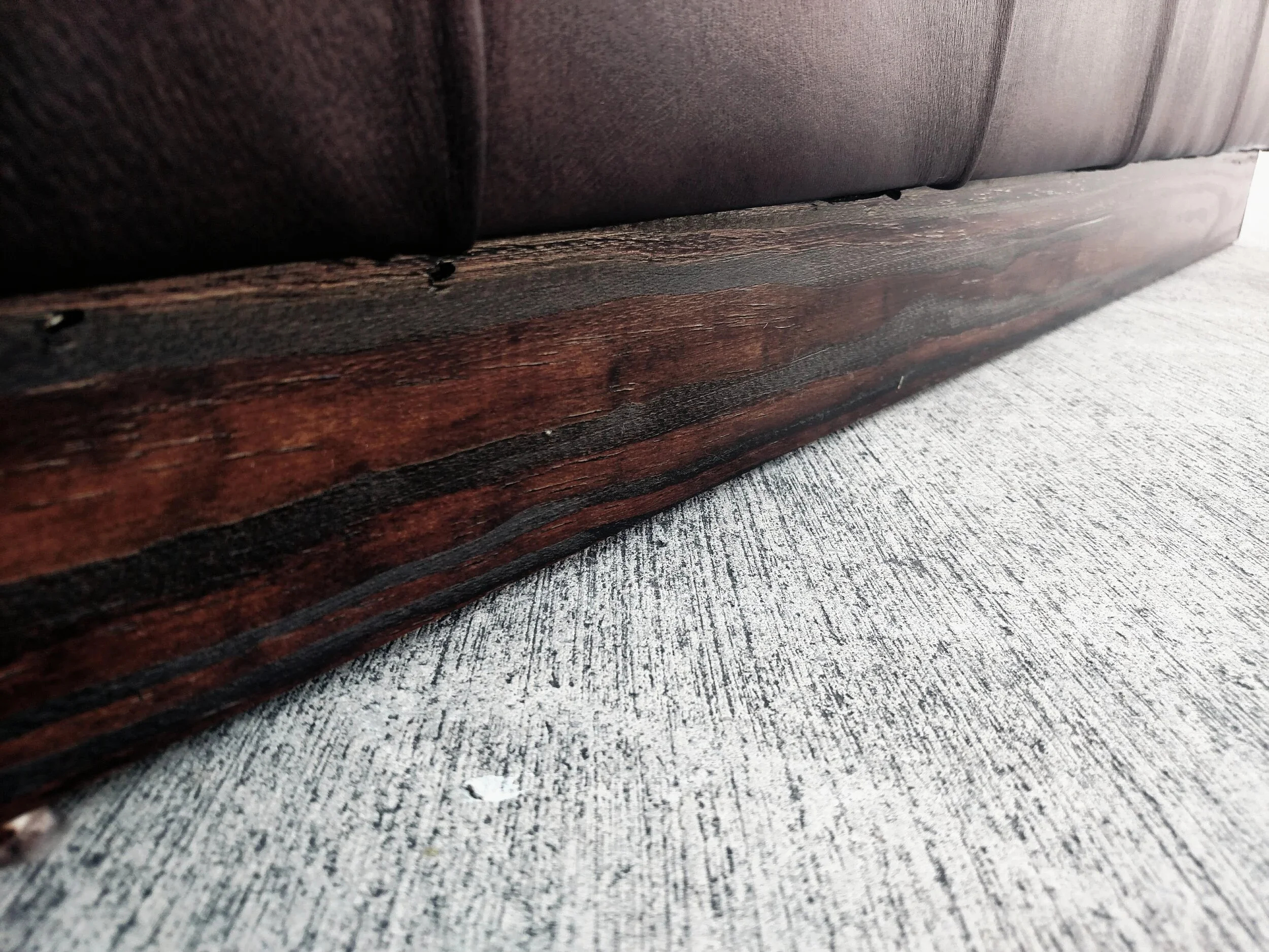 carpenterottoman3.webp