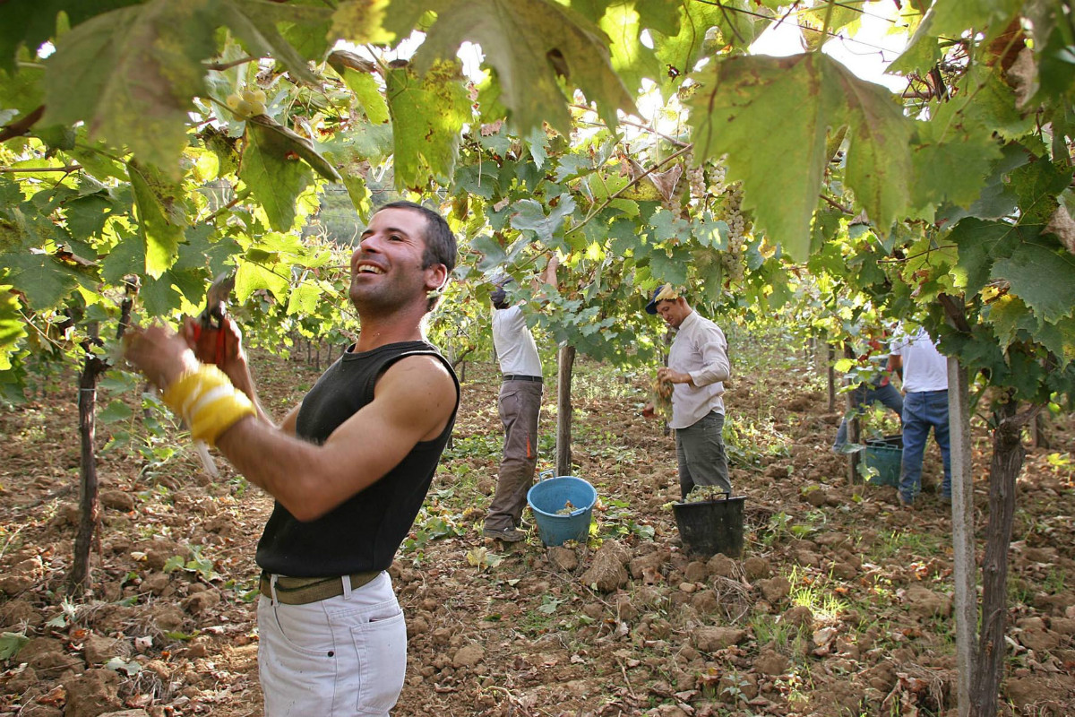 MODERN FARMER: Taking land from The Mafia