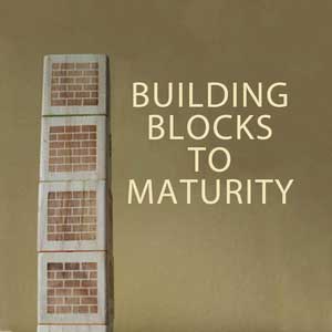 Building-Blocks-To-Maturity-1200.png