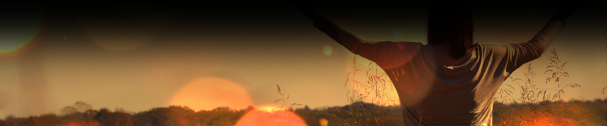 Web Header 2.png