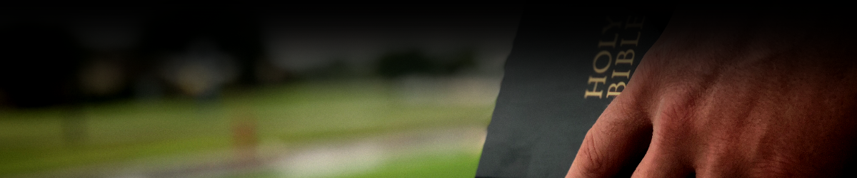 Web Header.png