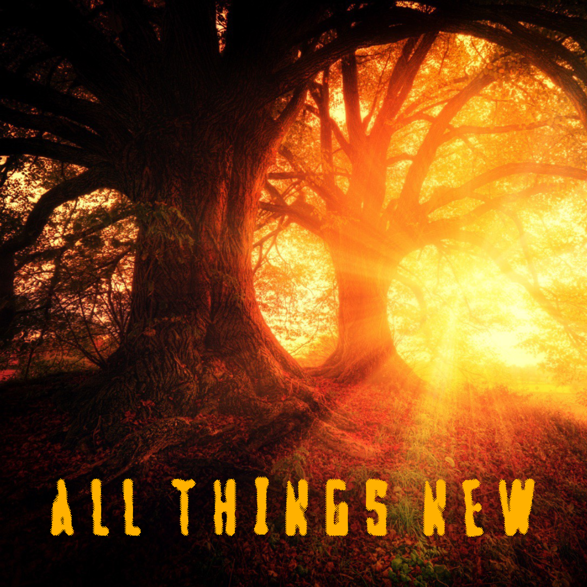 All Things New