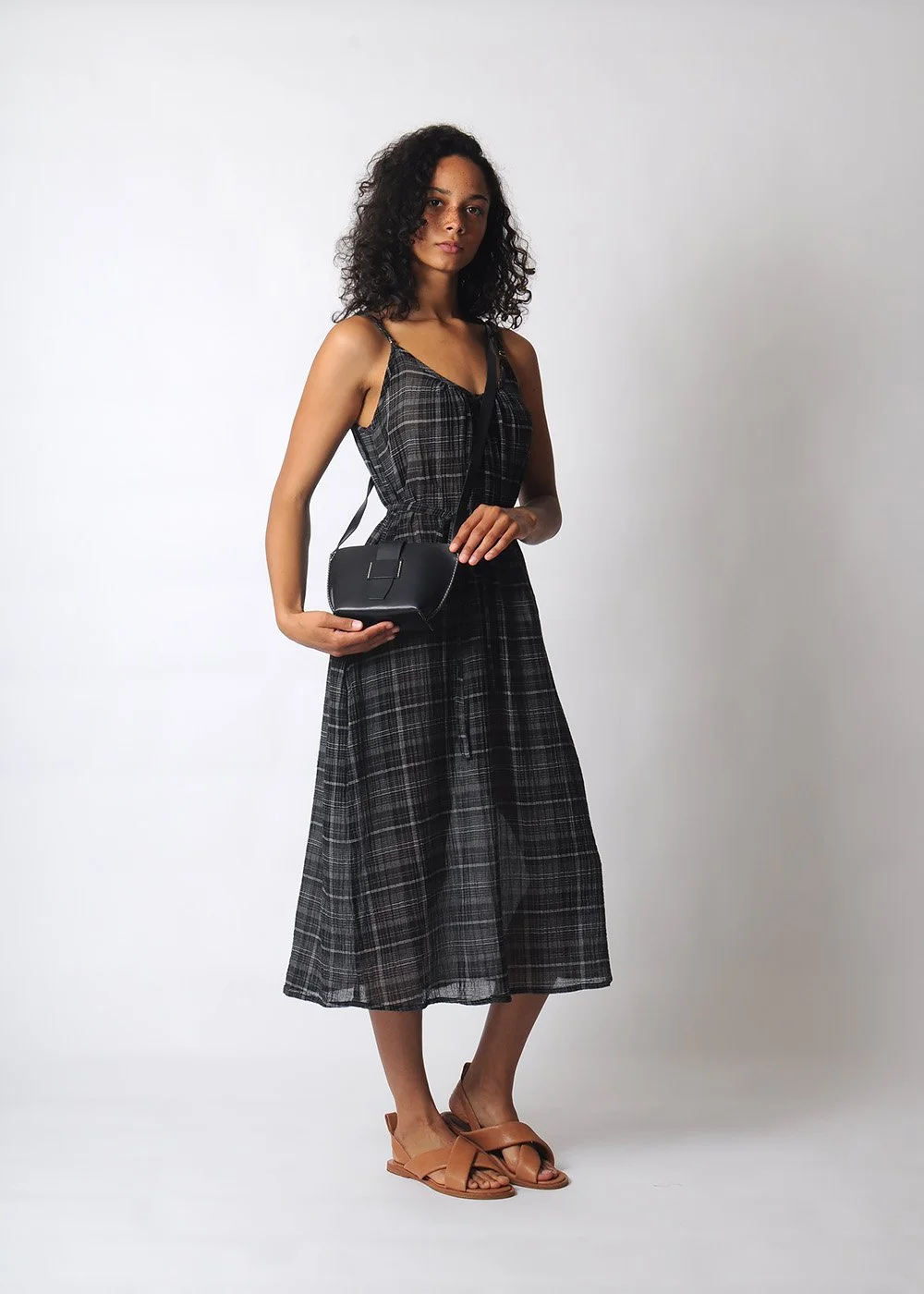 pennyroyal_conifer_small_black2.jpg