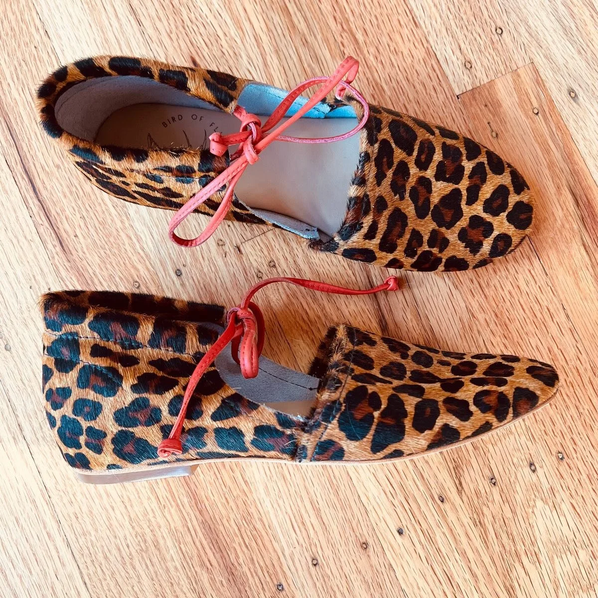 The newest @birdofflightshoes Amelie shoe in leopard 😻 these are my favorite shoe! I wear them every chance I get, ultra soft vegetable tanned leather with a chic comfortable footbed. We hav them in natural, black, red and leopard 
Open Wed-Sun 11-5