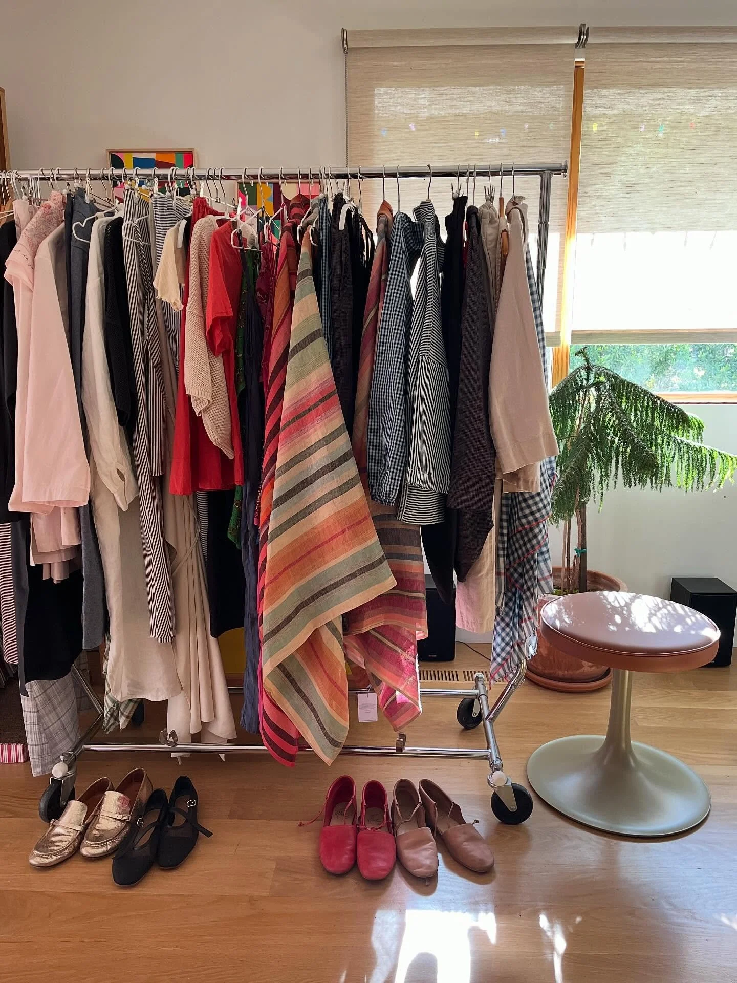 Get ready for new arrivals to pop up on conifershop.com! Spring photo shoot happening today 🤩