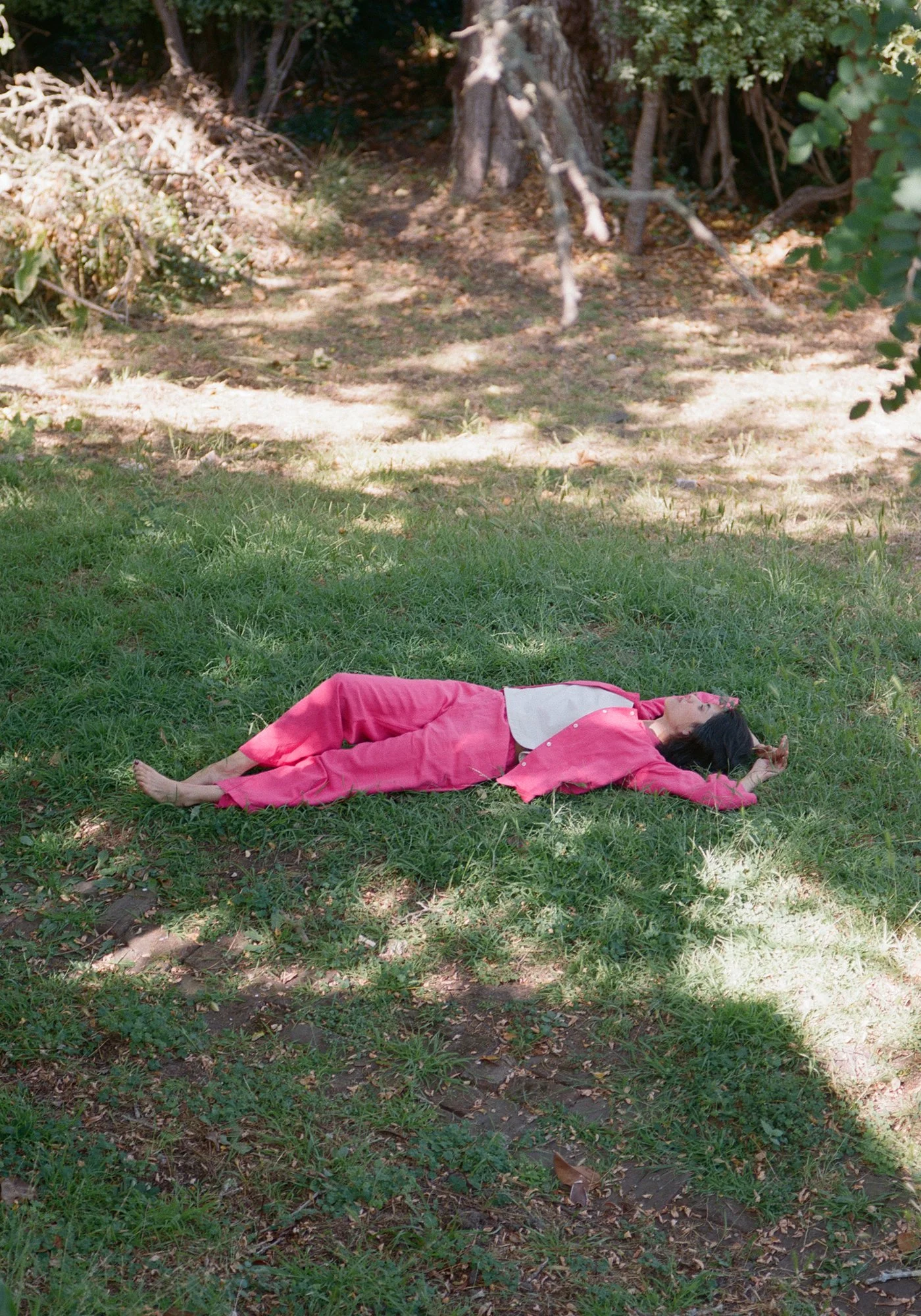 conifer_homepage_pink_suite.jpg