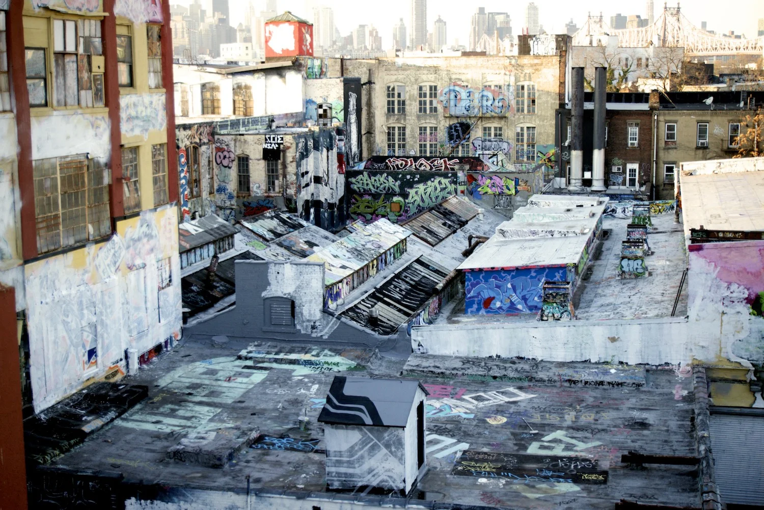 5pointz_jungle.jpg